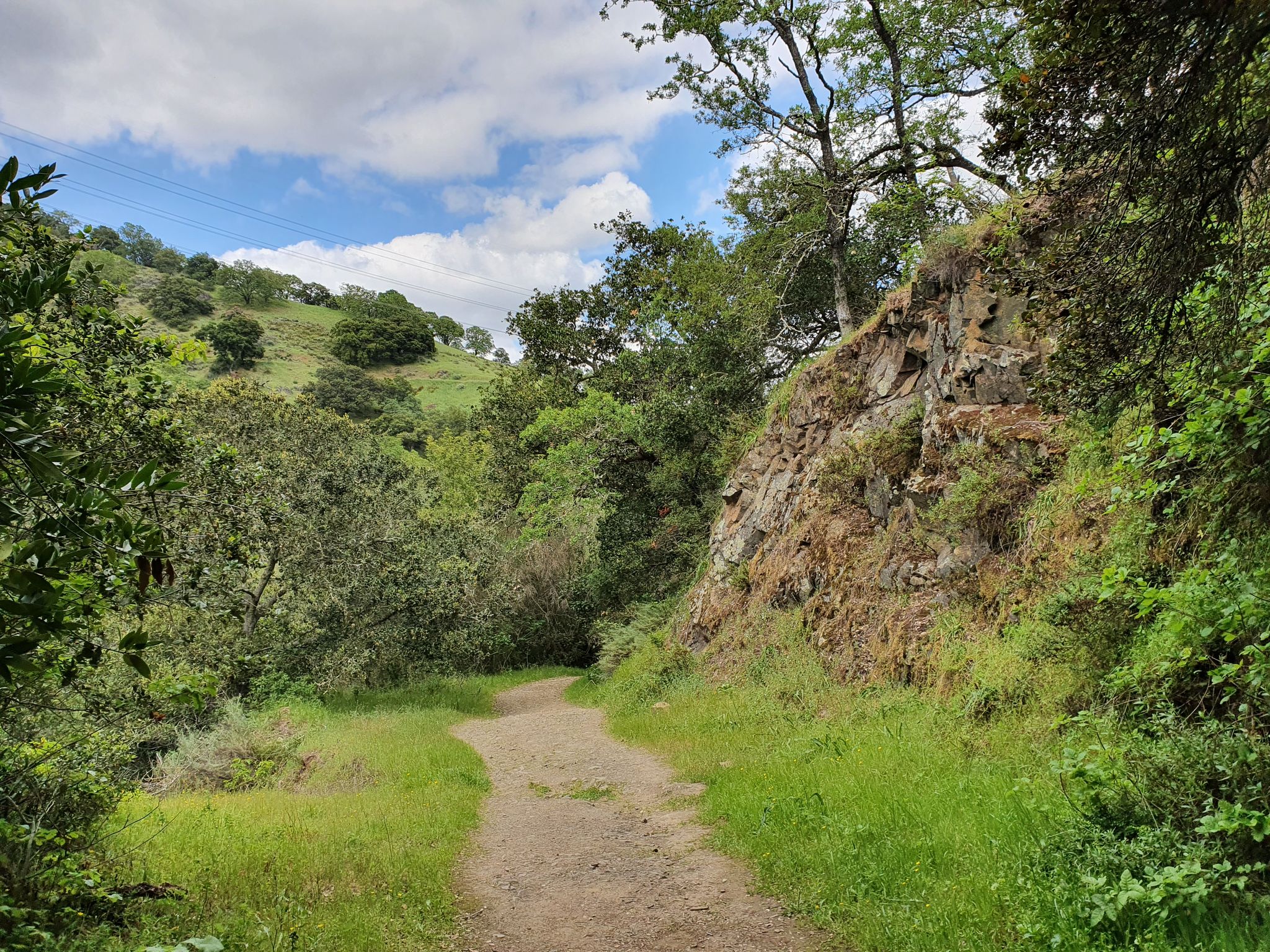 A dirt path winds through a green, wooded hillside under a cloudy sky. - Deep Gulch, Castillero, Mine Hill, Prospect #3 and Randol Trail Loop