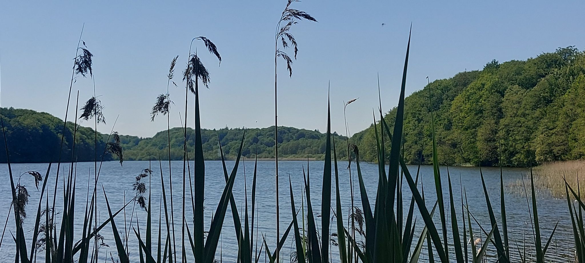 der Langsee bei Süderfahrenstedt