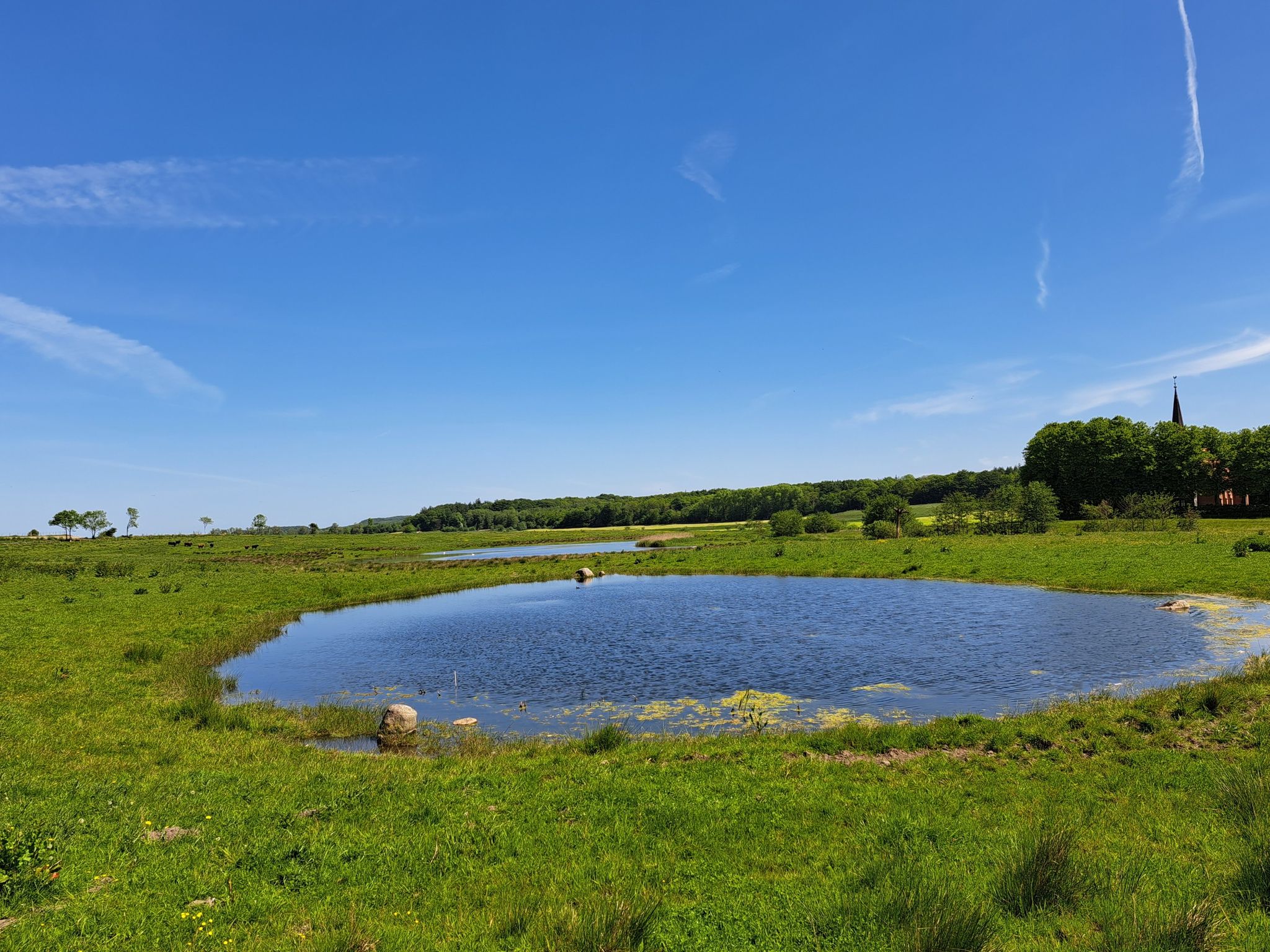 Kleine Teiche