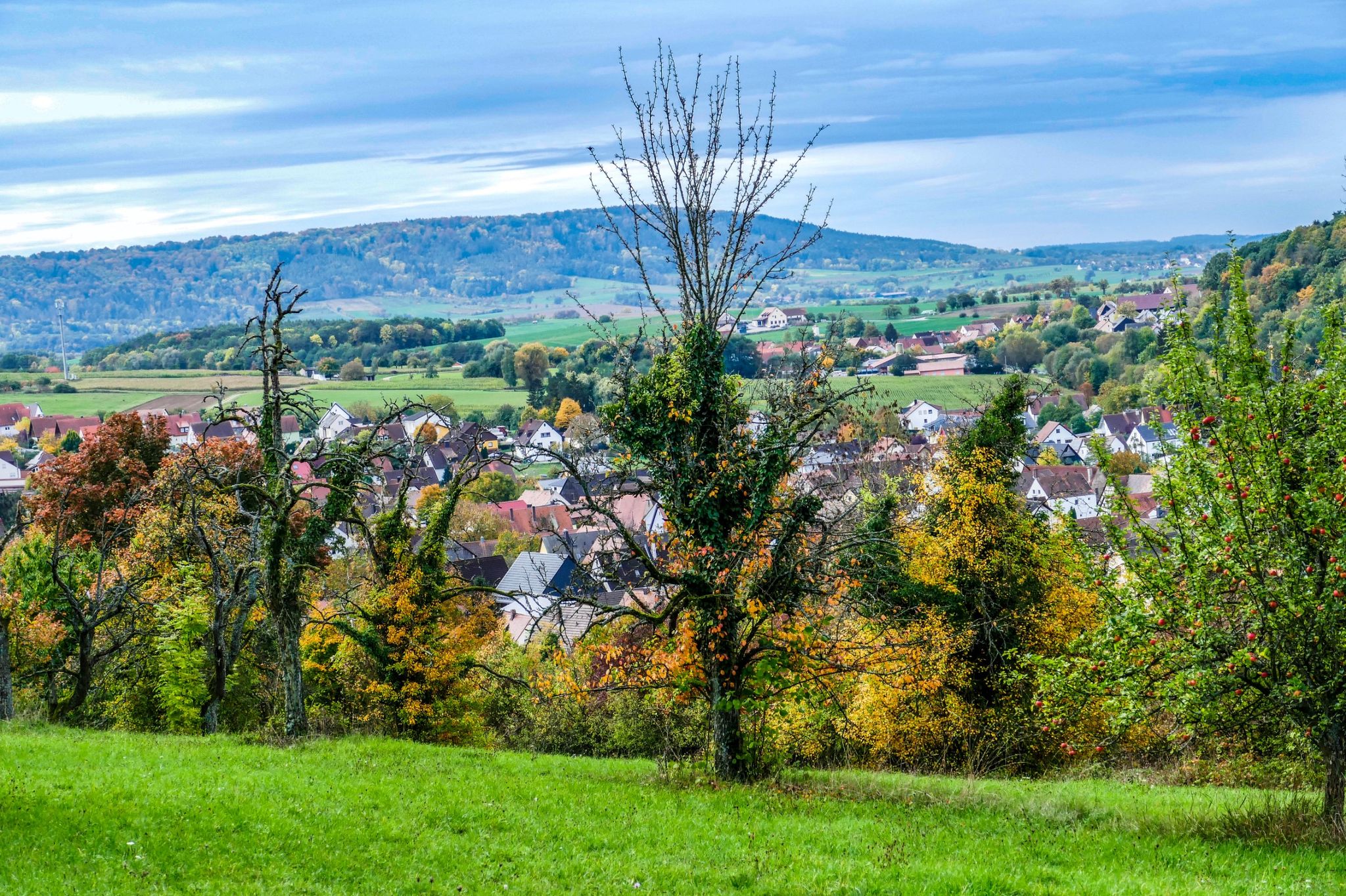 Streuobstwiesen