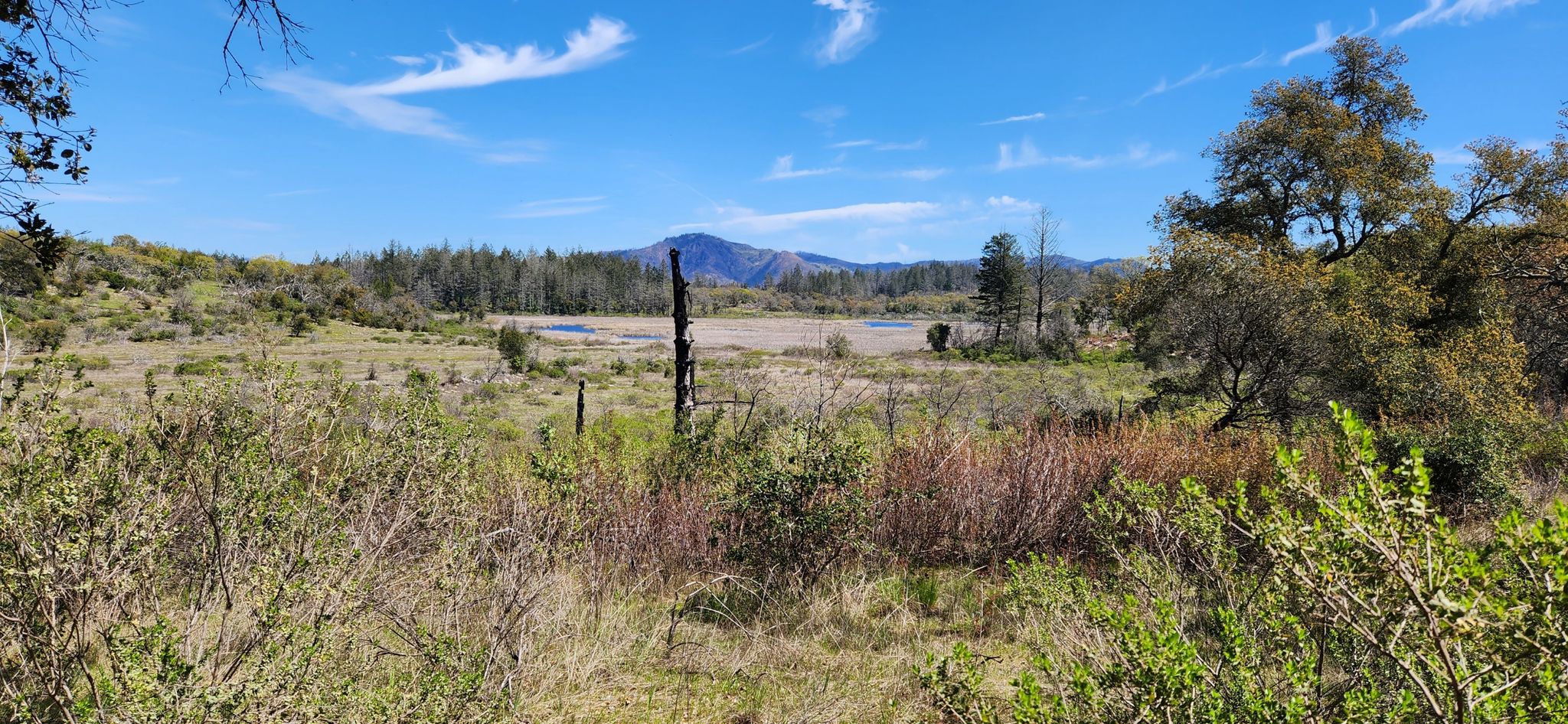 Expansive landscape with dry fields, distant mountains, and clear blue sky. - Ridge Trail – Warren Richardson Trail loop from Montgomery Village