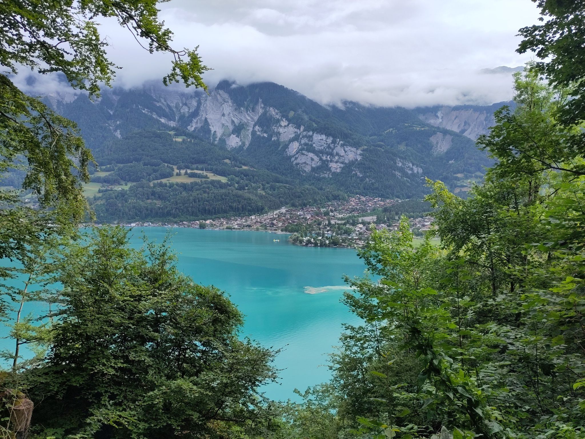 Blick auf Brienz