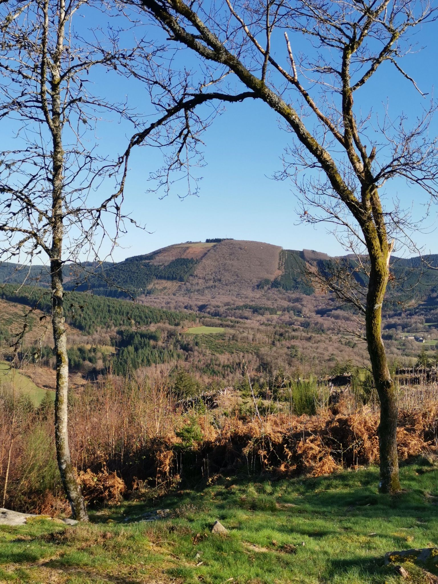 la monediere de Veix