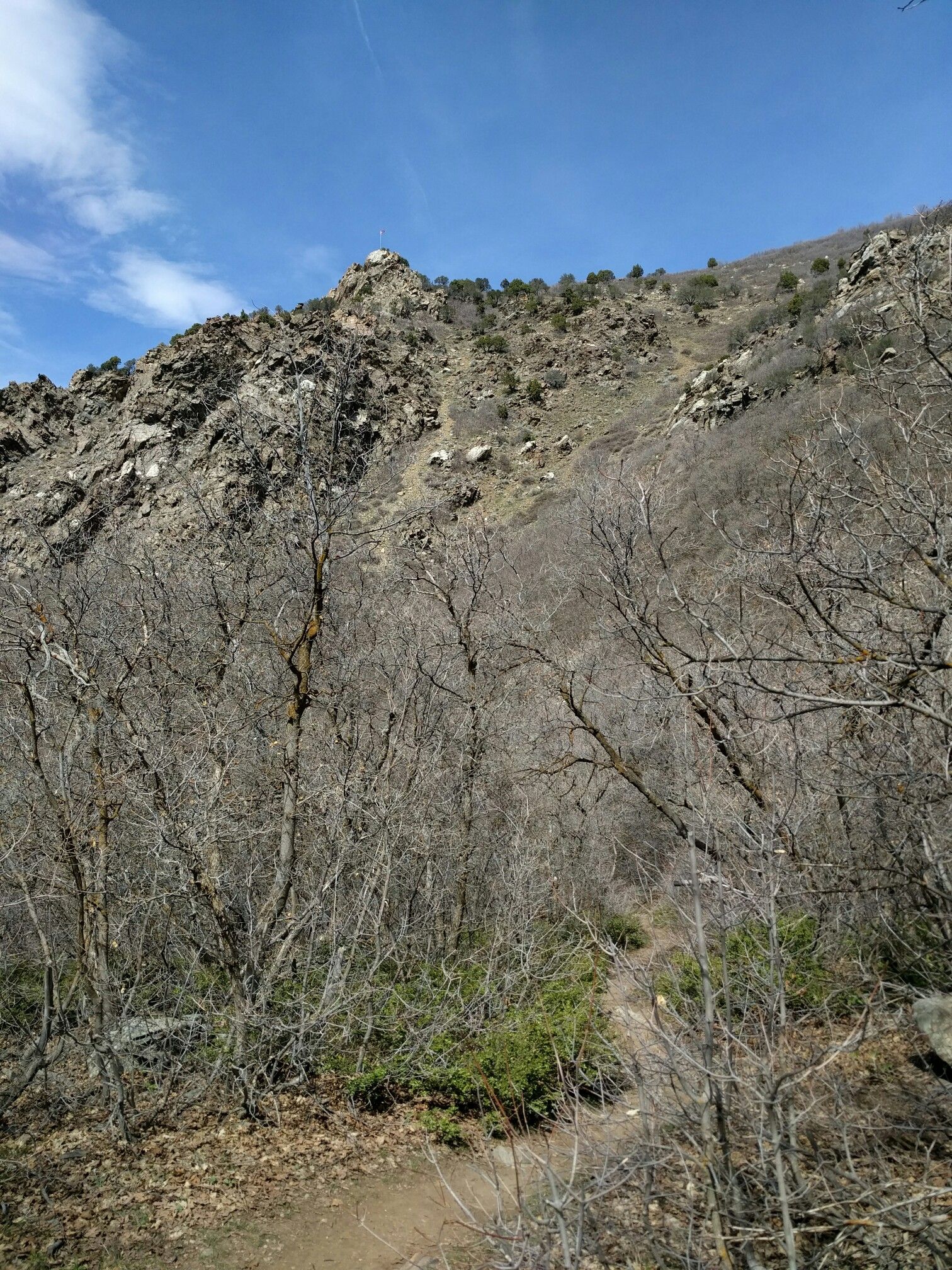 Rocky mountain peak above bare trees and a dirt path under a blue sky. - South Deuel Creek Trail