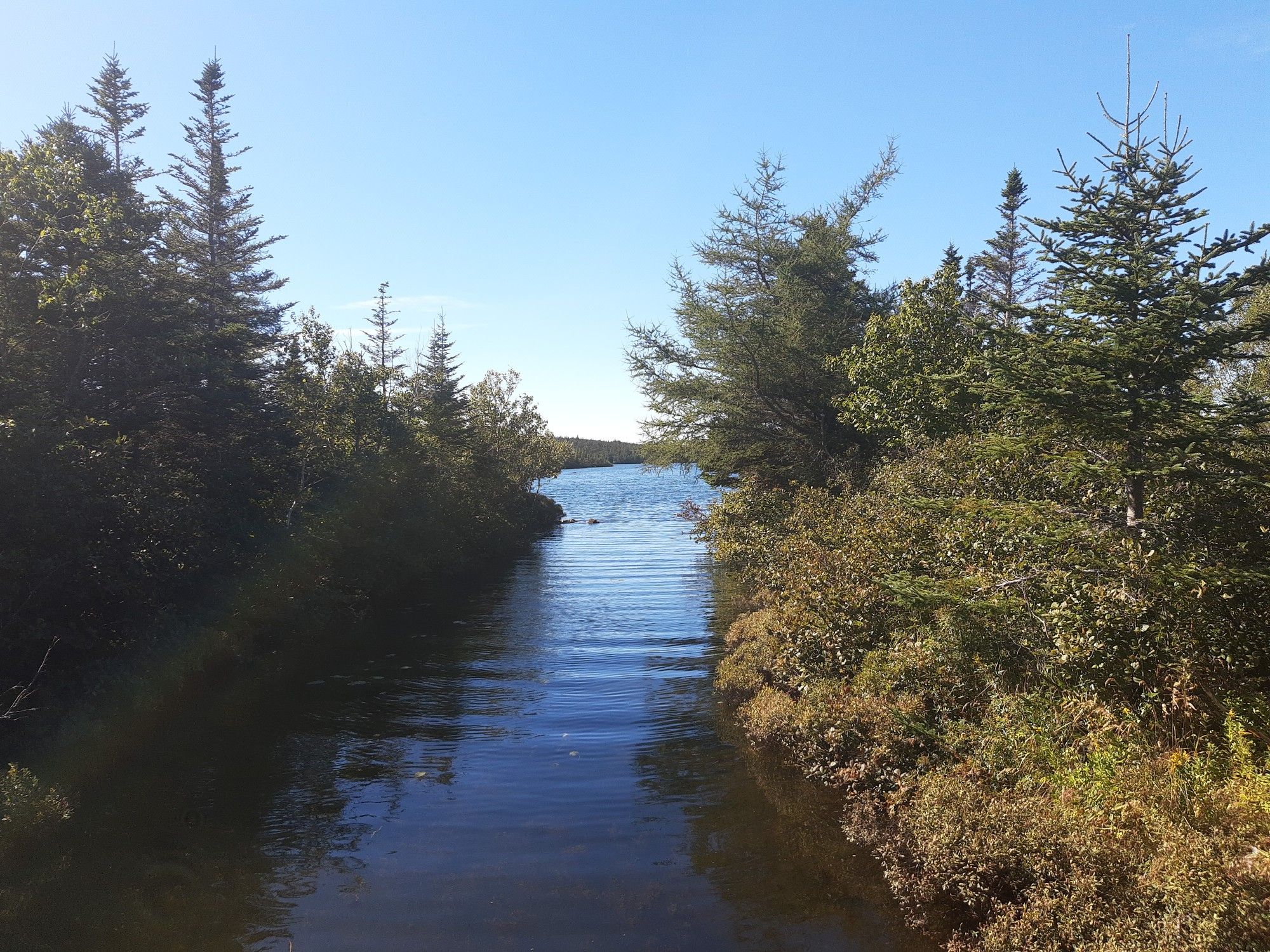 Octagon Pond