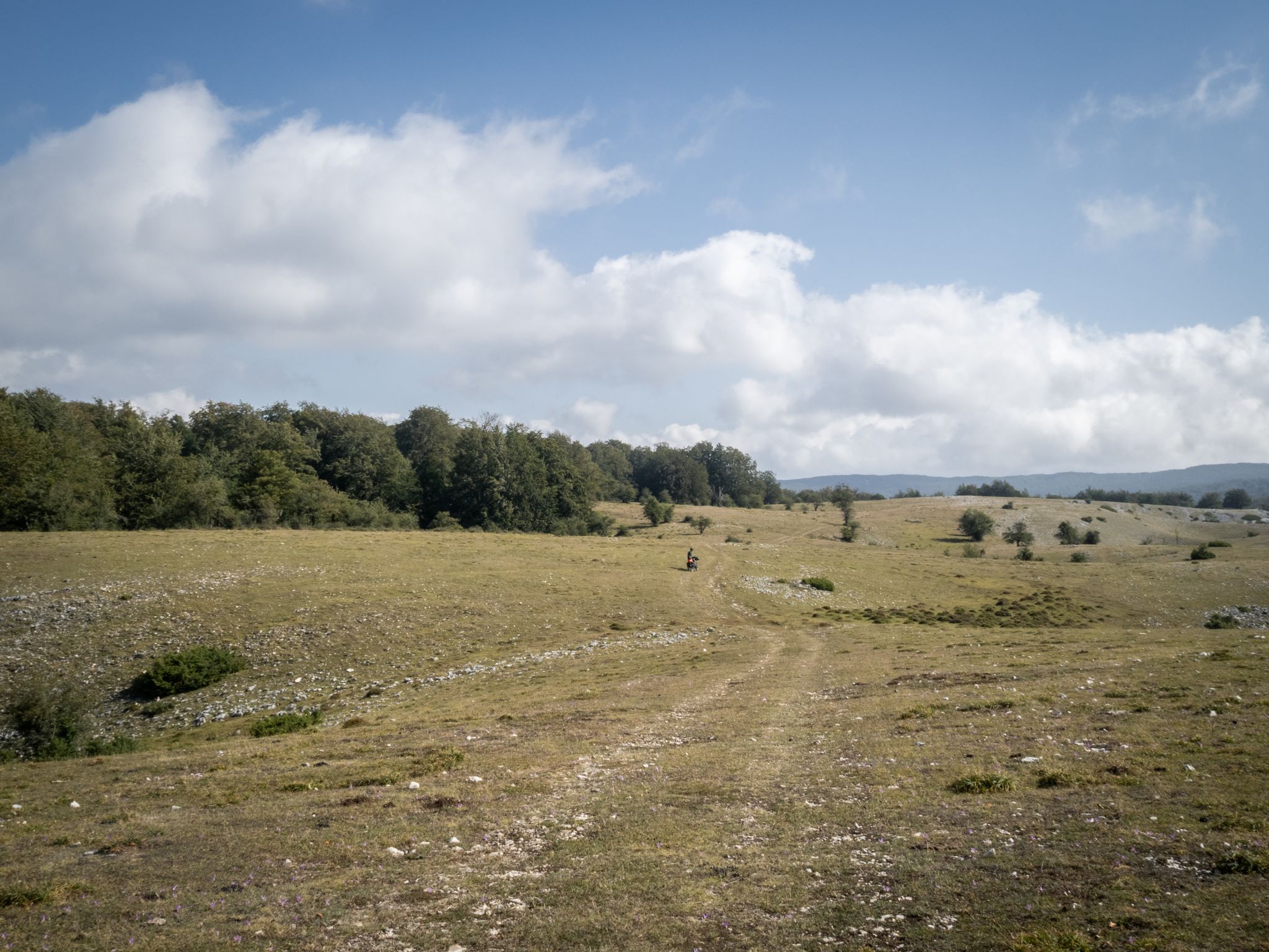 Nice paths on our way out of Urbasa. It's kinda confusing, so keep an eye on the map!