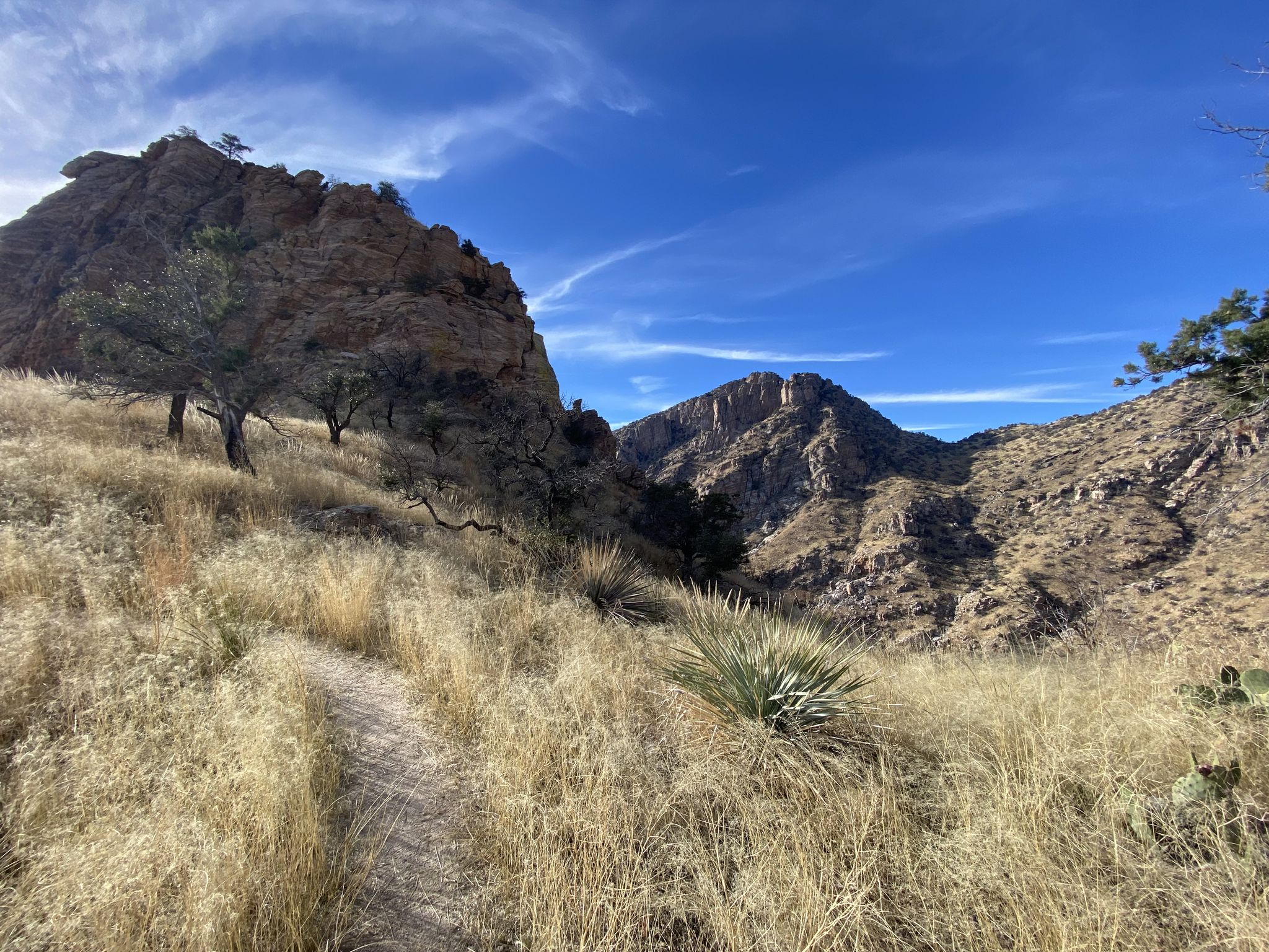 A dirt trail winds through dry grass towards rocky mountains under blue sky. - Finger Rock and Pontatoc Loop