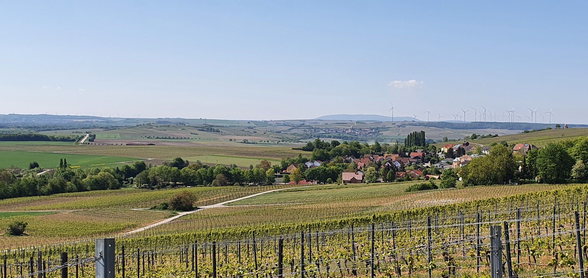 Spiesheim 