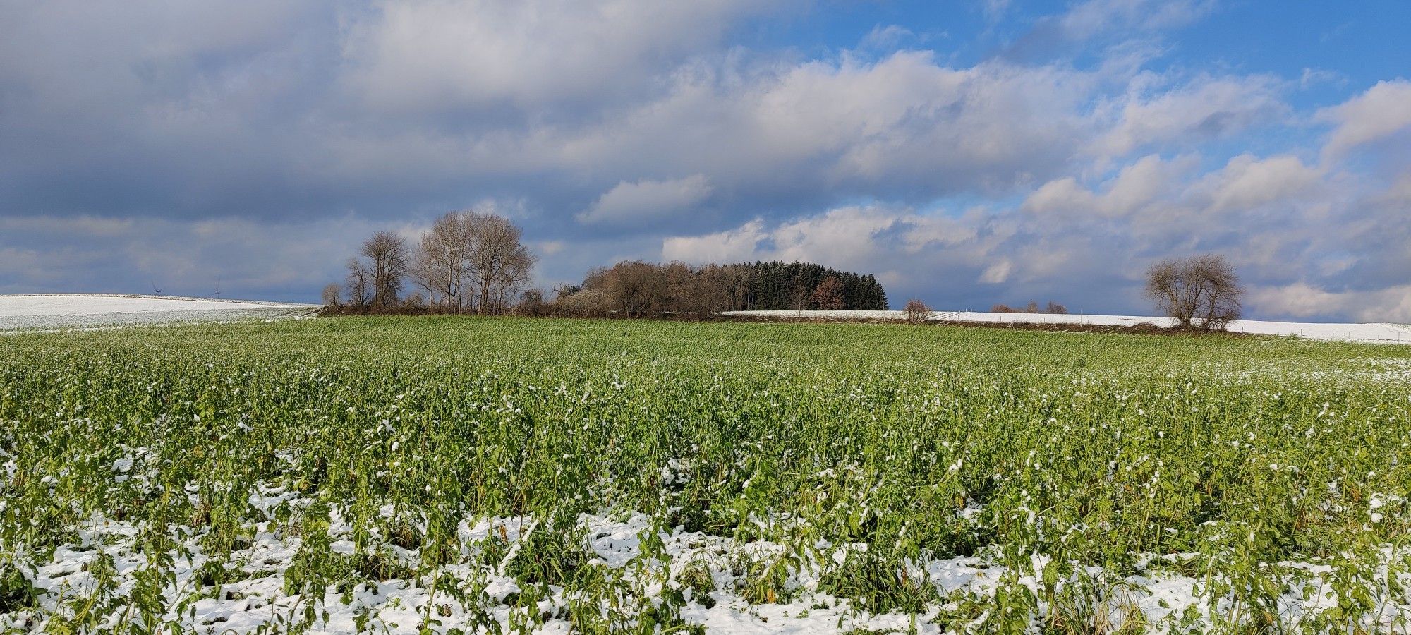 Farbenspiel "Grün" - "Weiß" - "Blau"