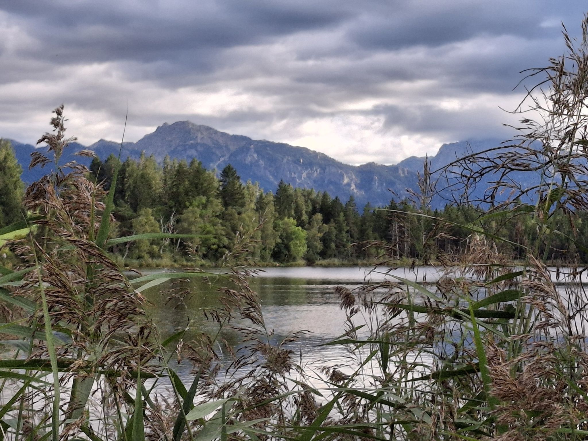 Schmutterweiher