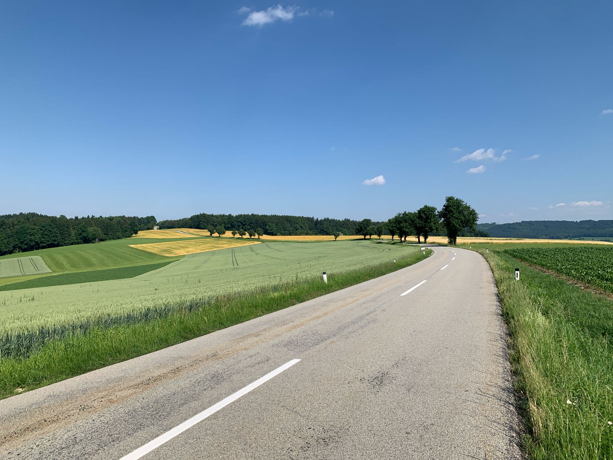 An der Geiersbergerstraße
