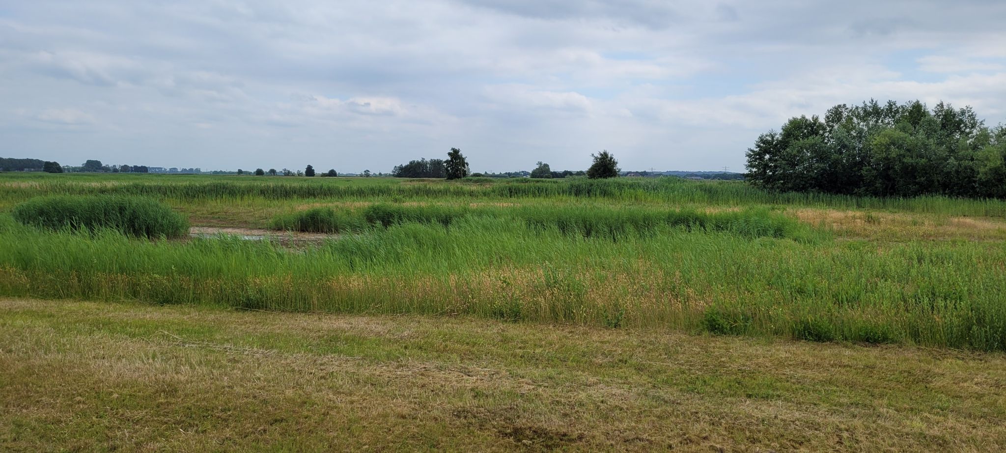 binnenveld