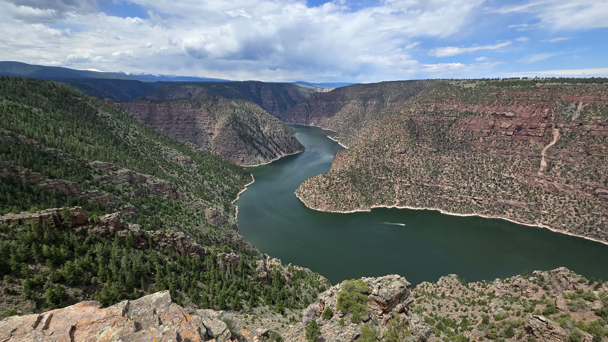A wide river snakes through a vast, green canyon under a cloudy sky. - Canyon Rim Trail