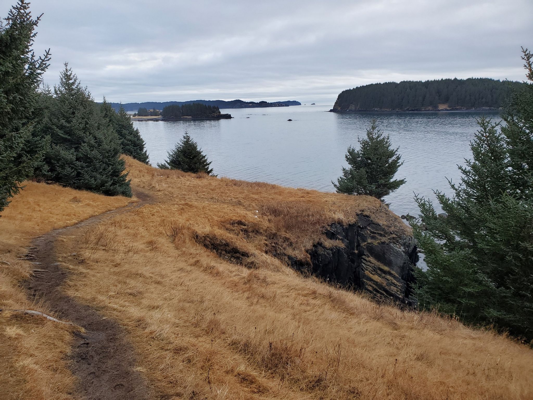Dirt path on a grassy hillside overlooking a bay with forested islands. - Near Island South End Trail