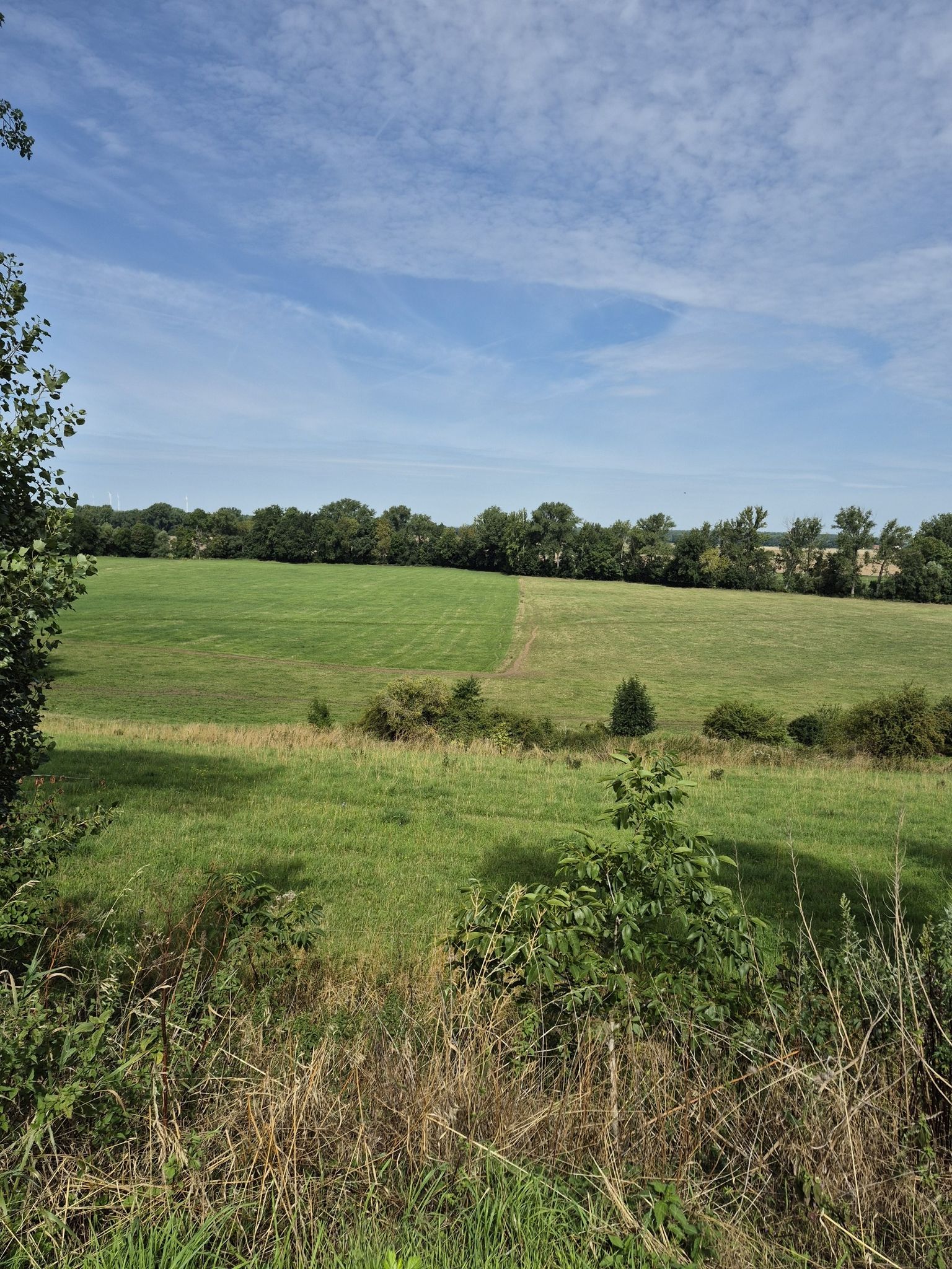 Blick in die Aue von Gatzen