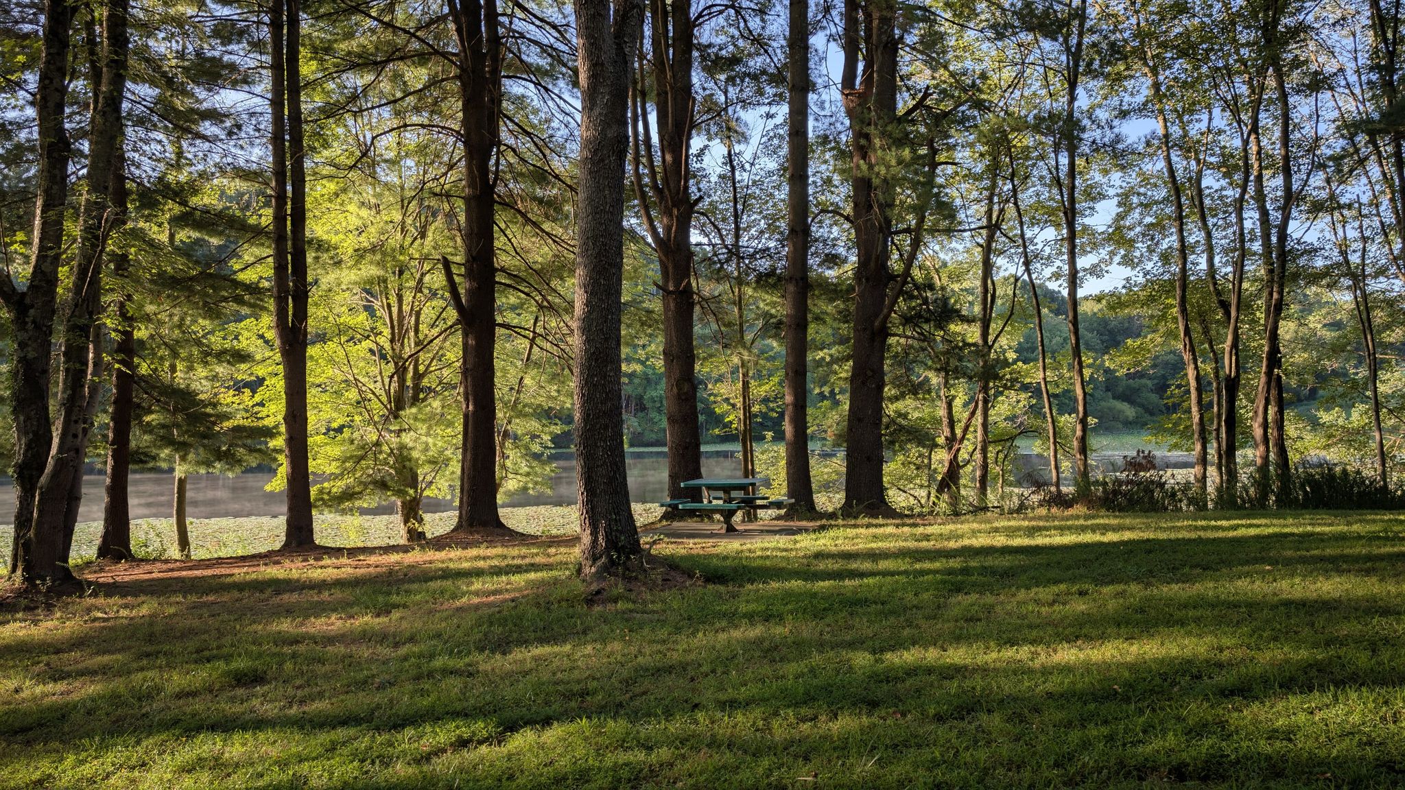 Sunny forest clearing with tall trees, a picnic table, and water in background. - Inlet Trail