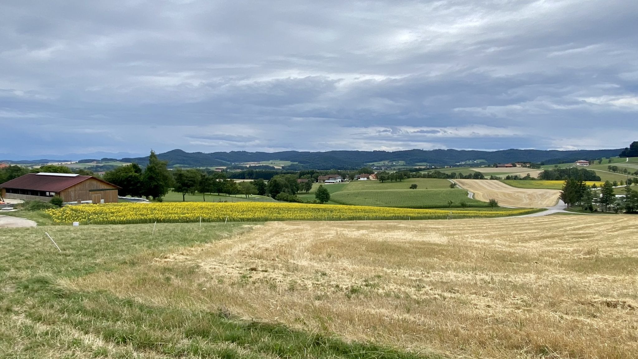 Auffahrt Nähe Golfplatz zum "Grünen Weg"