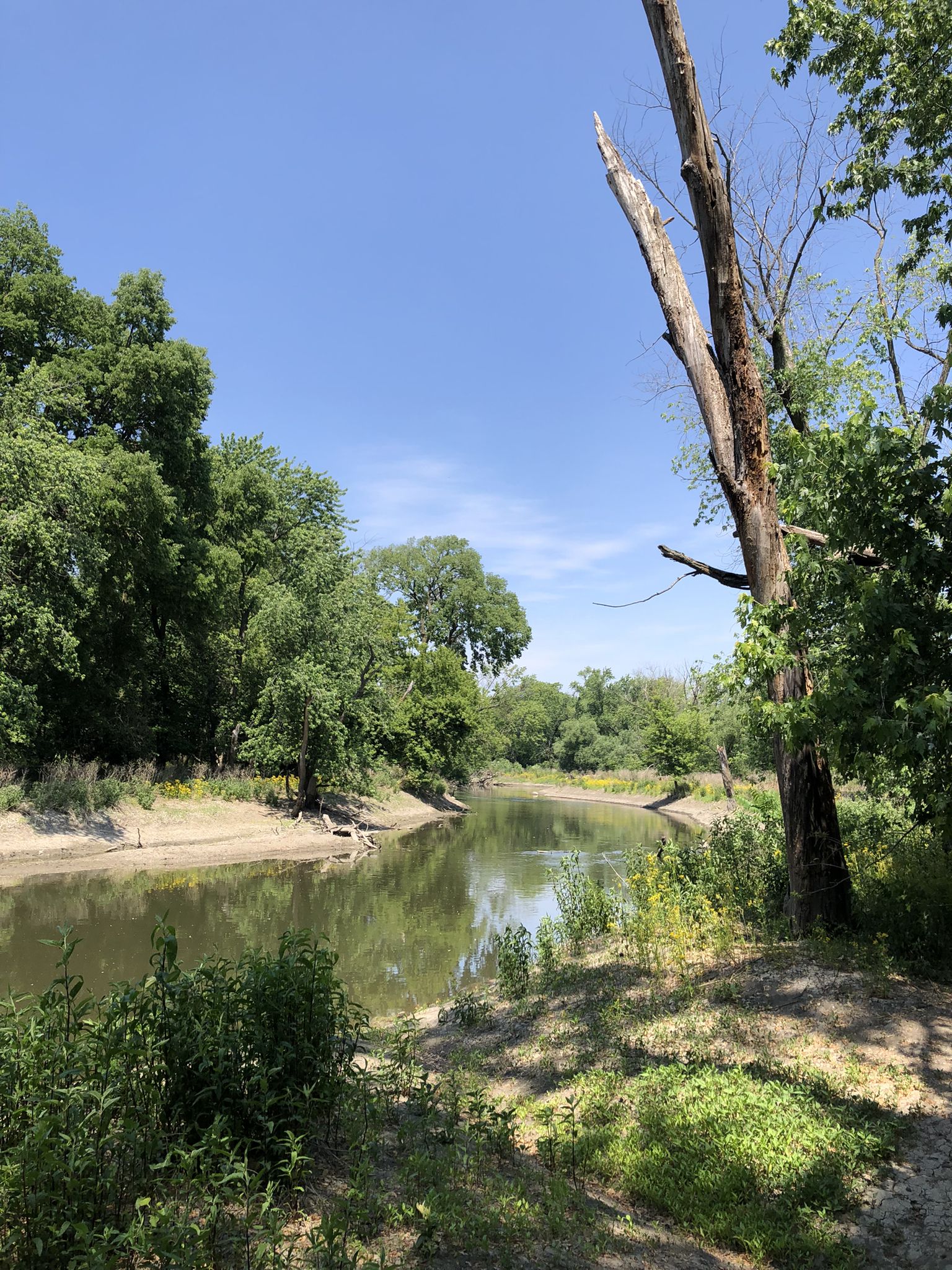 Sunny view of a calm river bordered by green trees and sandy banks. - Trailside Museum of Natural History Blue Primitive Trail