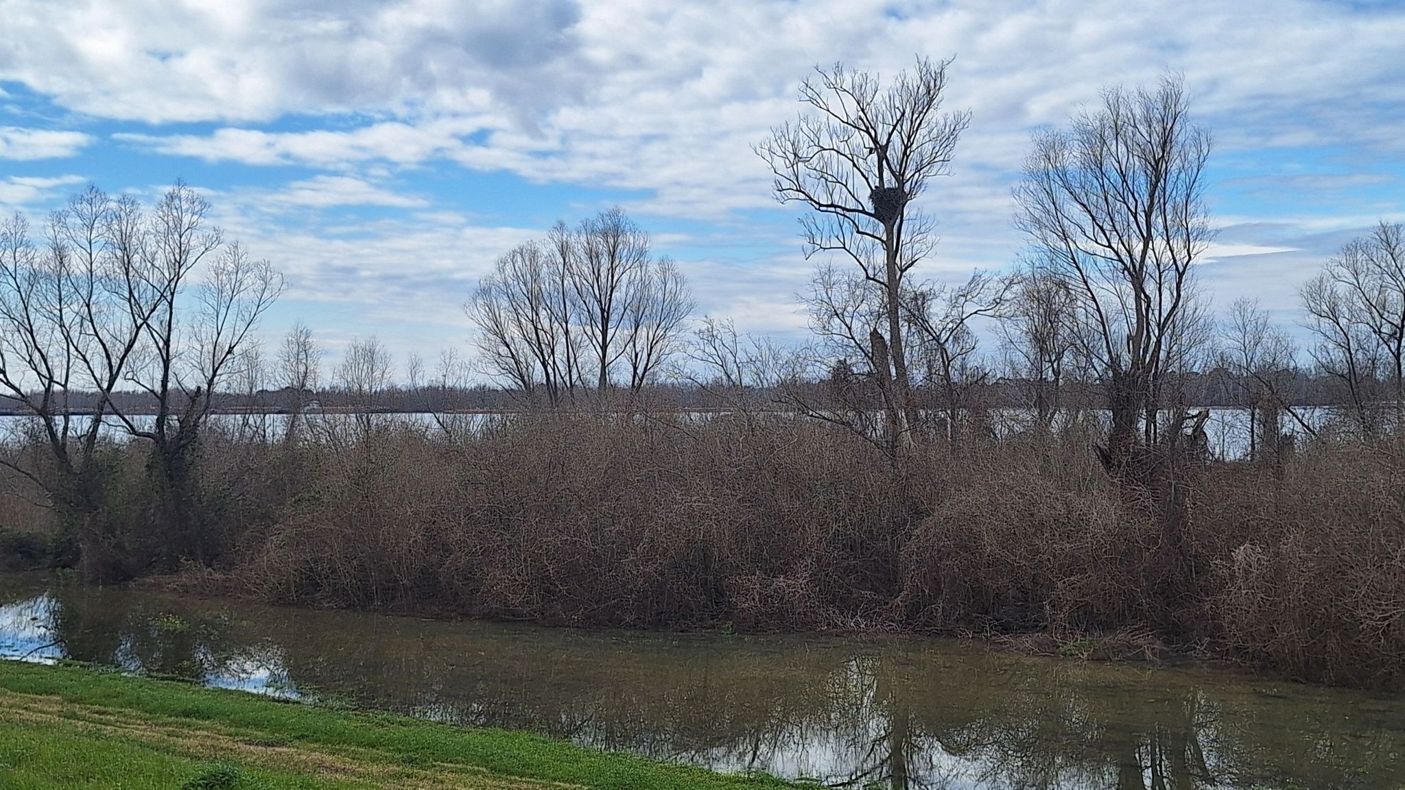 Overcast view of a narrow waterway, dense bare trees, and distant water. - Mississippi River Levee Trail loop from Farr Park Equestrian Center and RV Campground