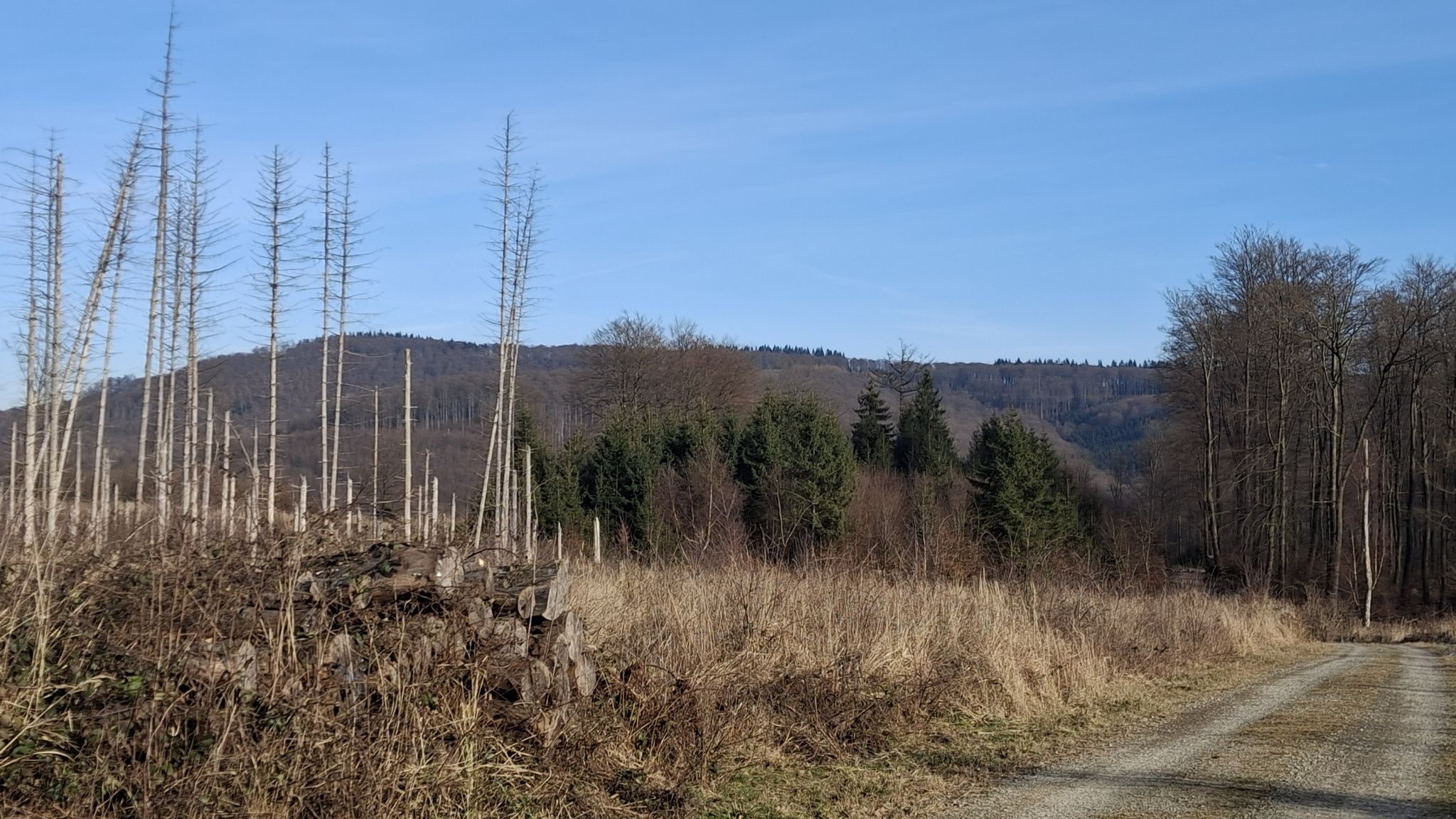 Blick auf den Winterberg