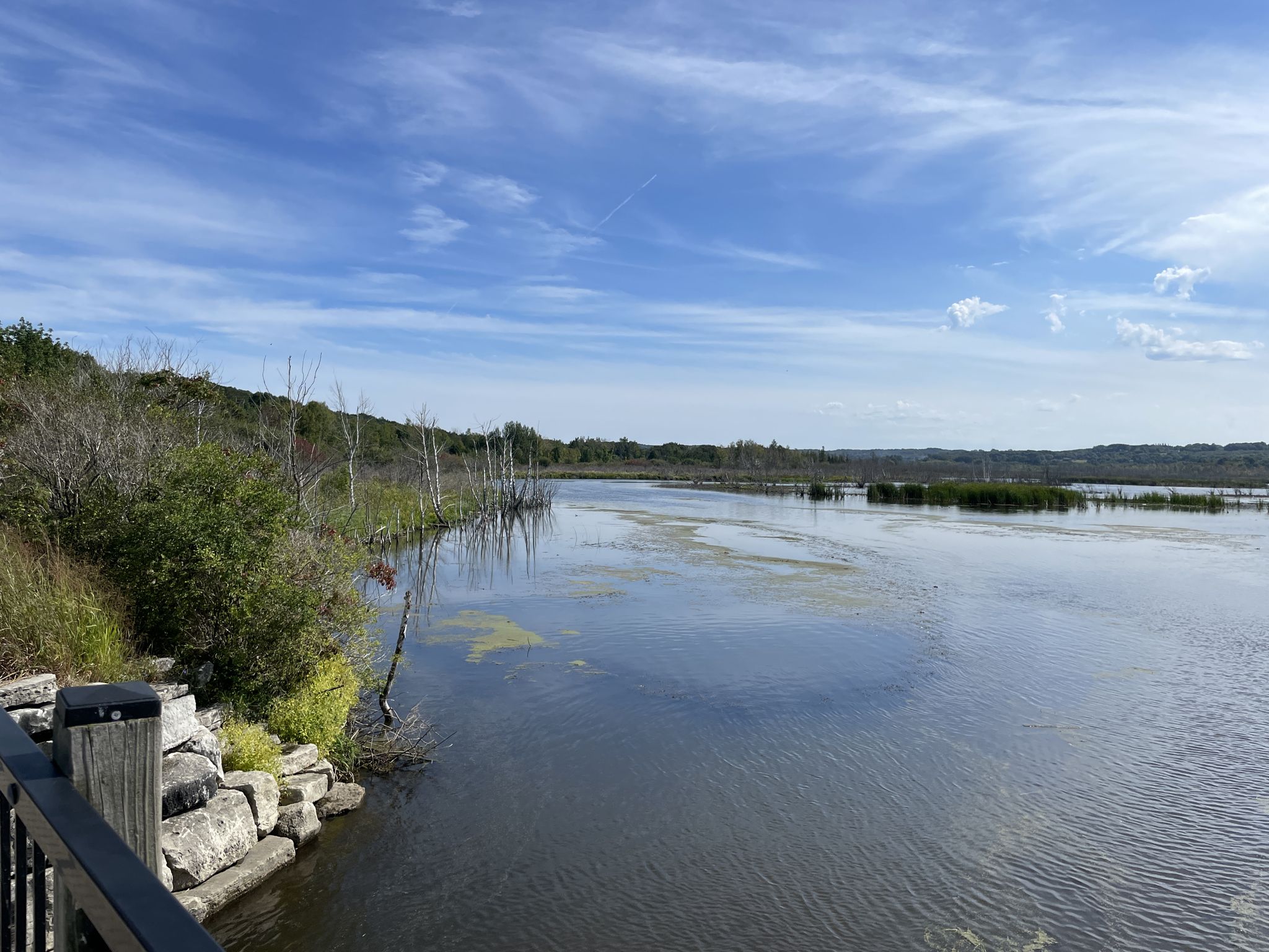 Wide view of a marshy lake with dead trees and green vegetation under a blue sky. - Crystal and Platte lakes loop - Bestie River Trail