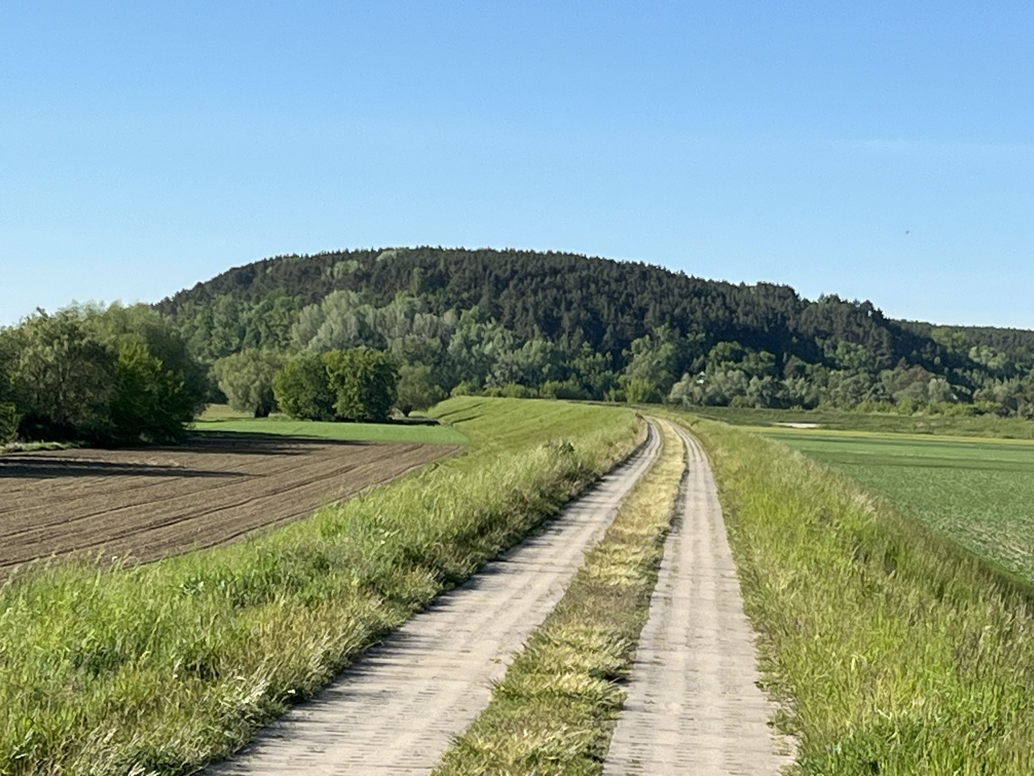 Góry Łosiowe z punktem widokowym nad Wisłą, jadąc wałem powodziowym z Parsków