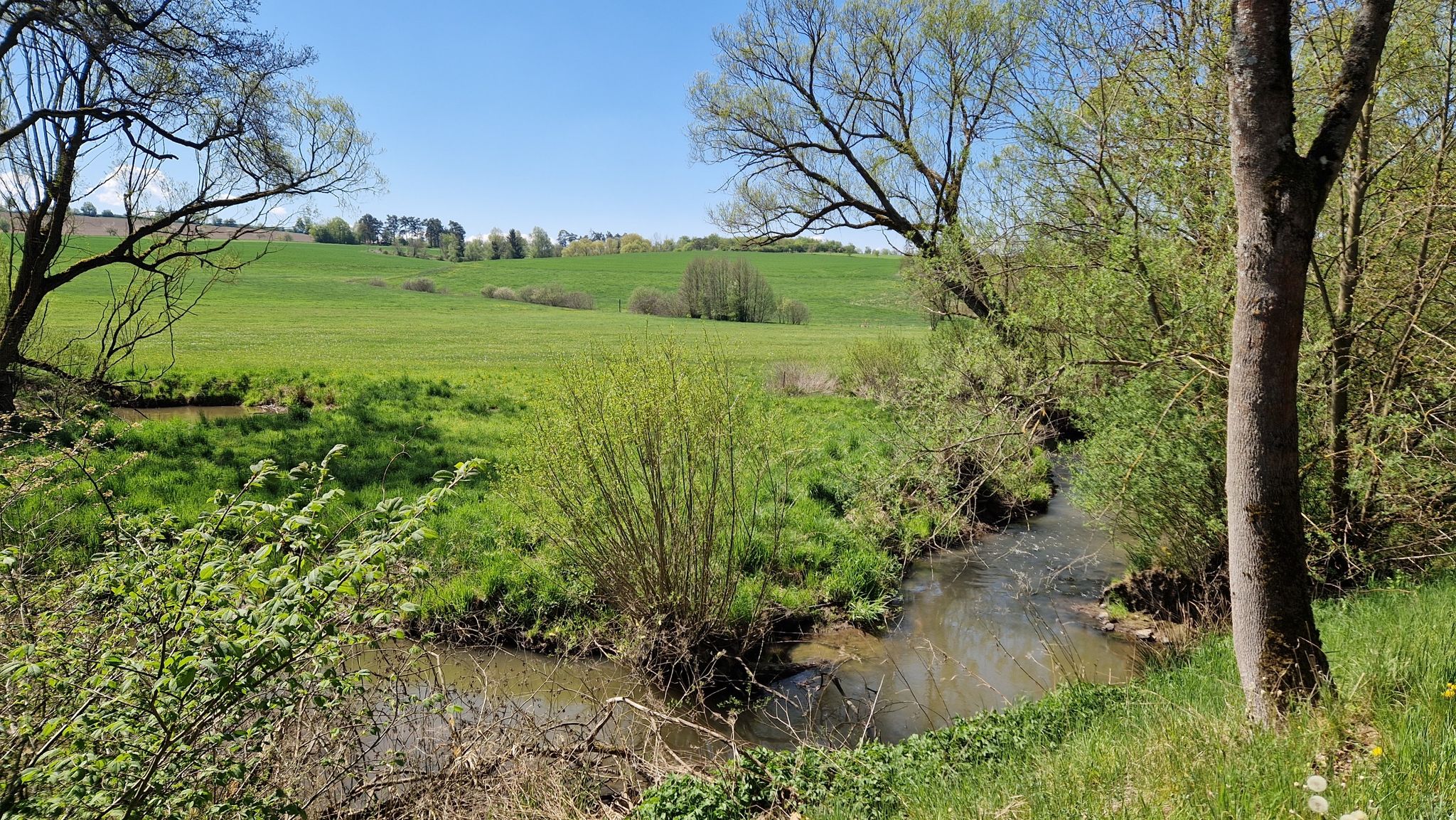 Regnitz