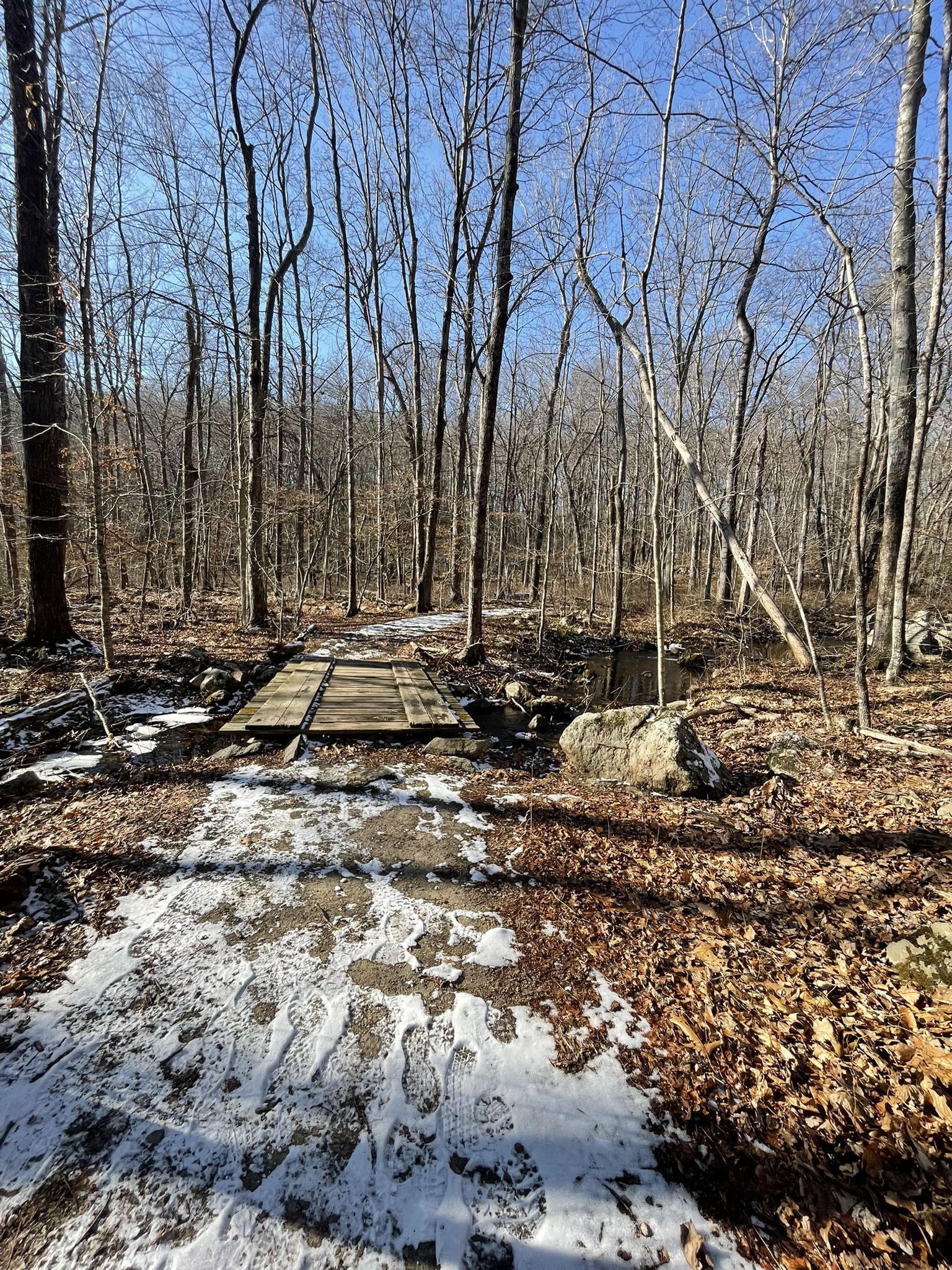 Snowy forest path with footprints leading to a wooden bridge. - Godfrey and Sap Brook Trail Loop
