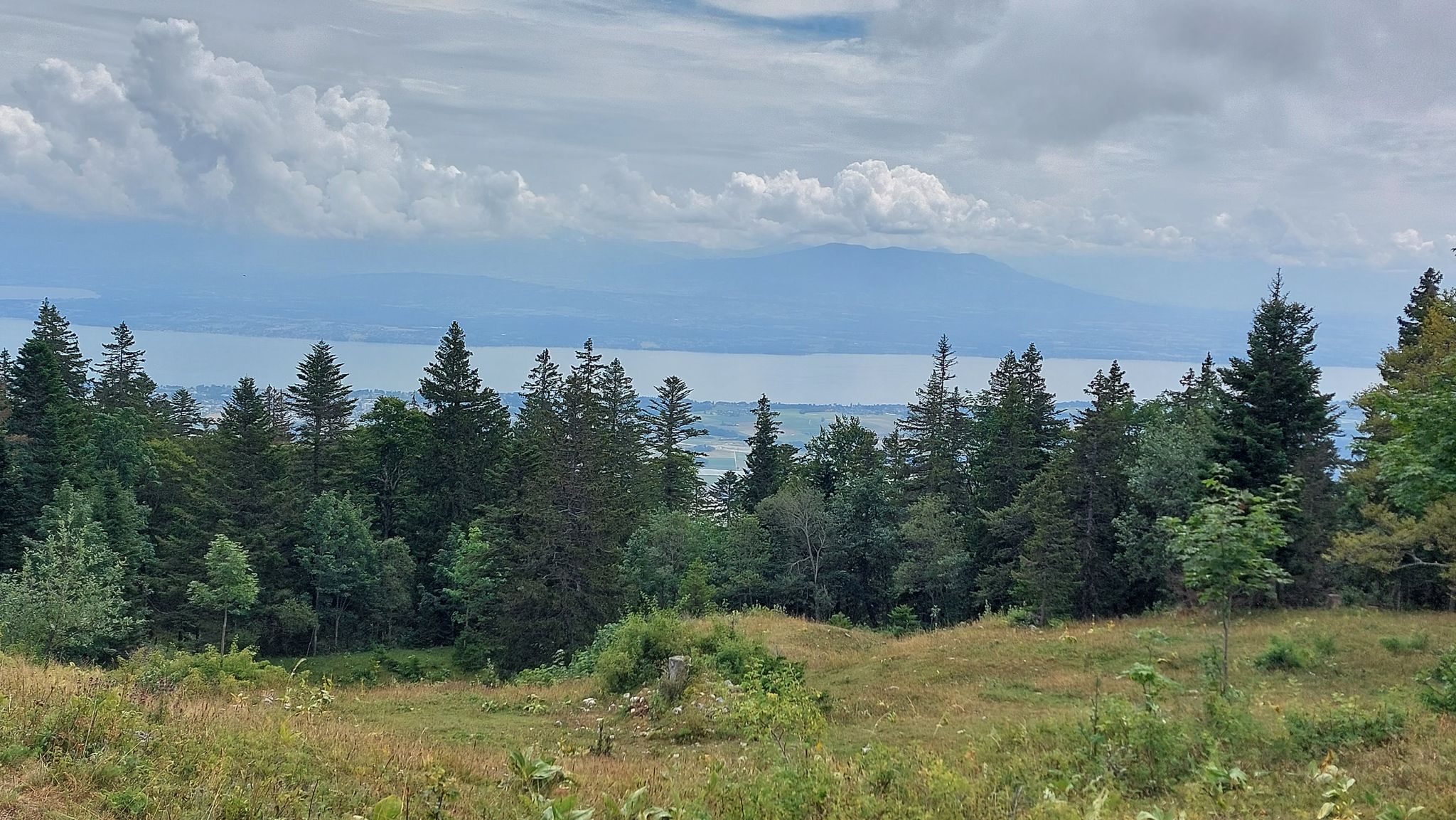 Lacul Leman
