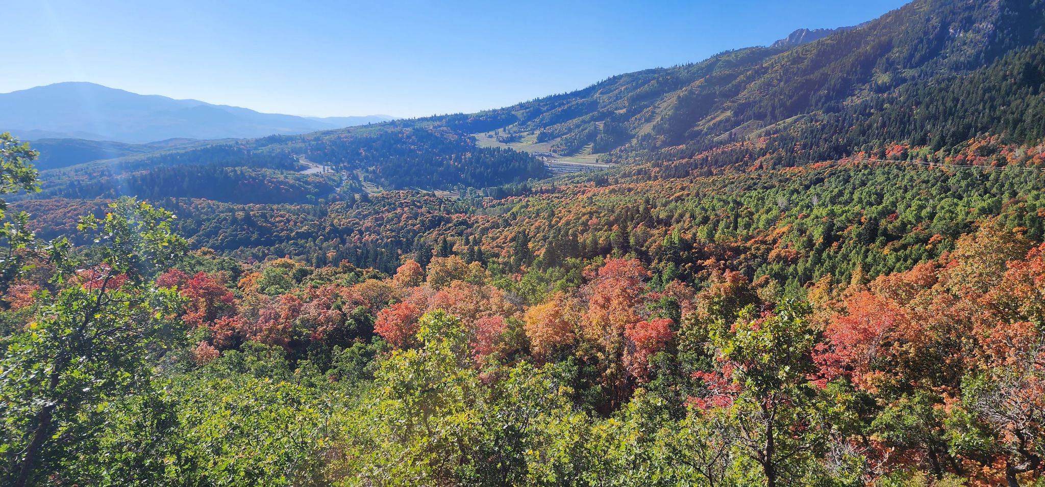 Mountain valley with a mix of green and colorful autumn trees under bright sun. - Green Pond – Wheeler Creek Trail loop from Pineview Dam