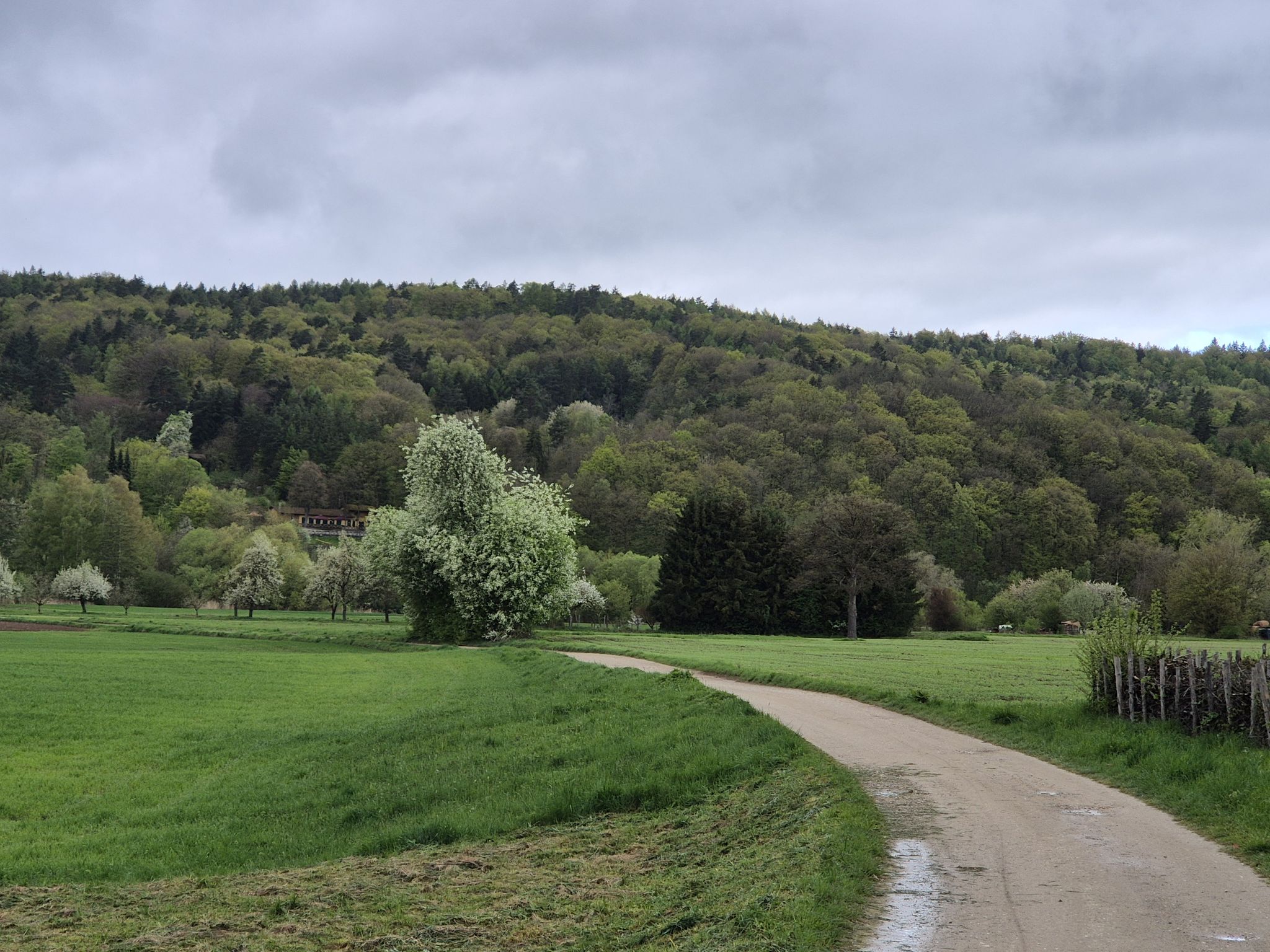 tolle Landschaft hier