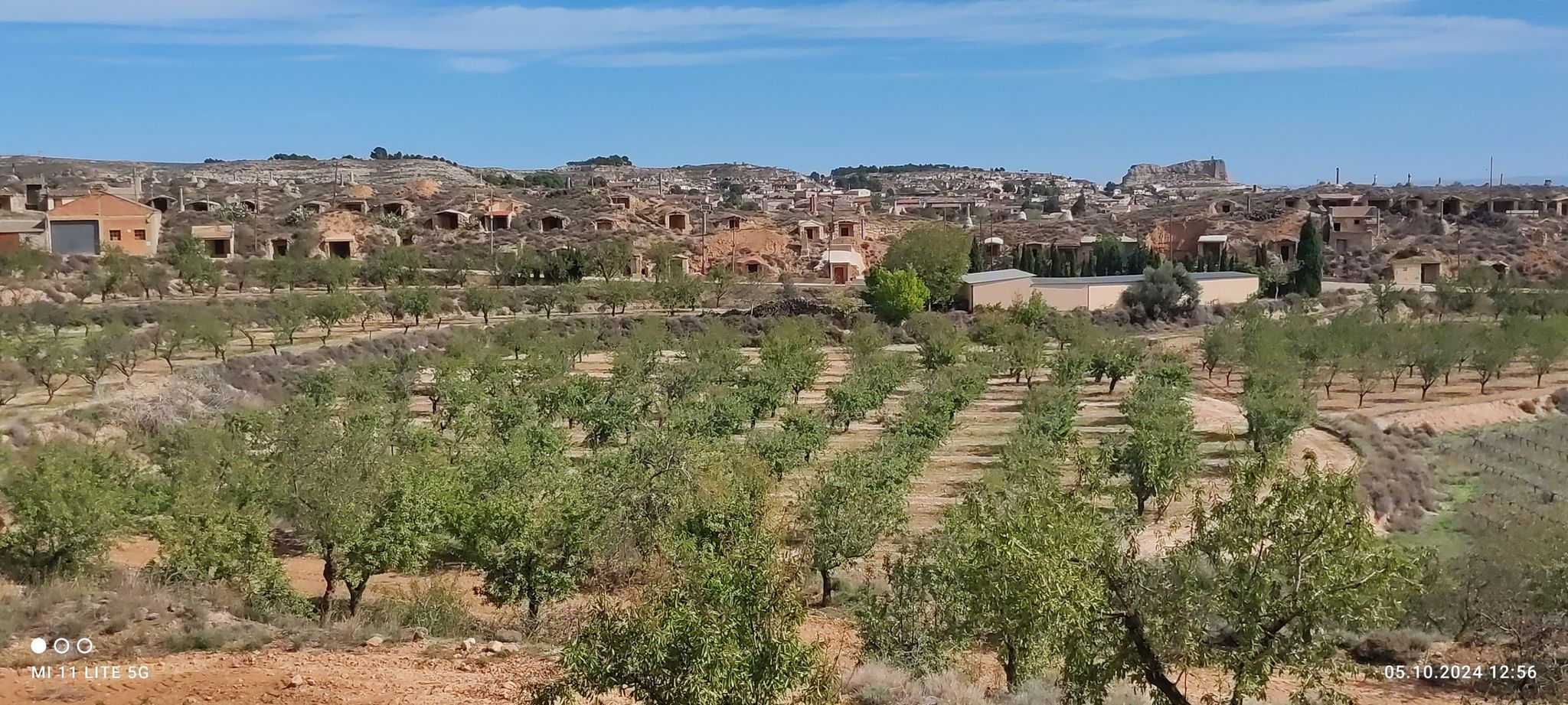 Die Cuevas Vinarias-Weinhölen- von Maleján, in Hintergrund der Berg mitten in Borja