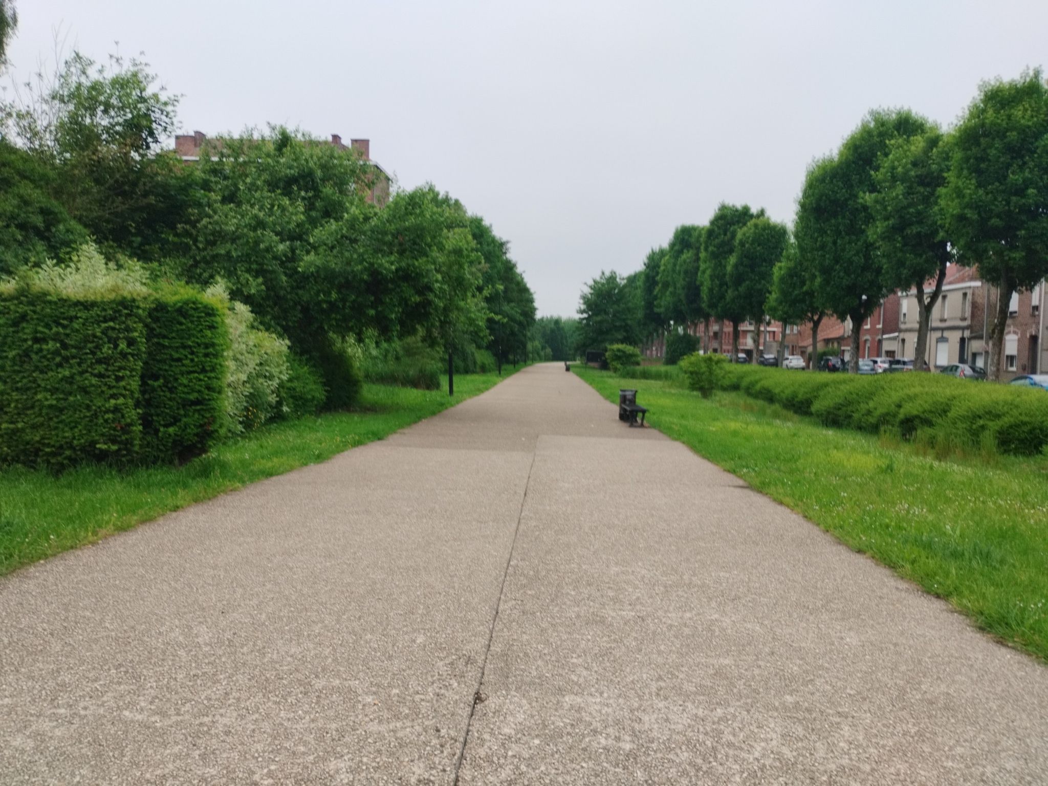 Grünzug mit Radweg