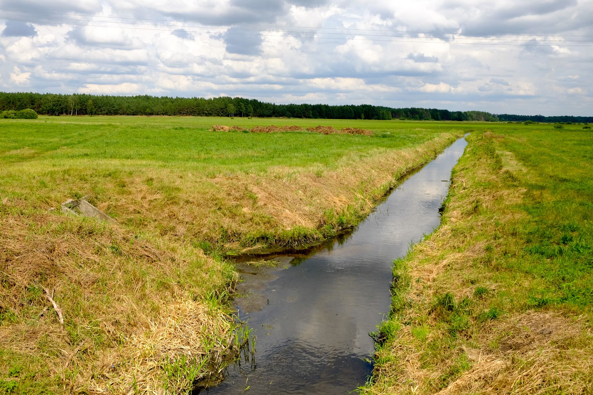 Niechwaszcz.