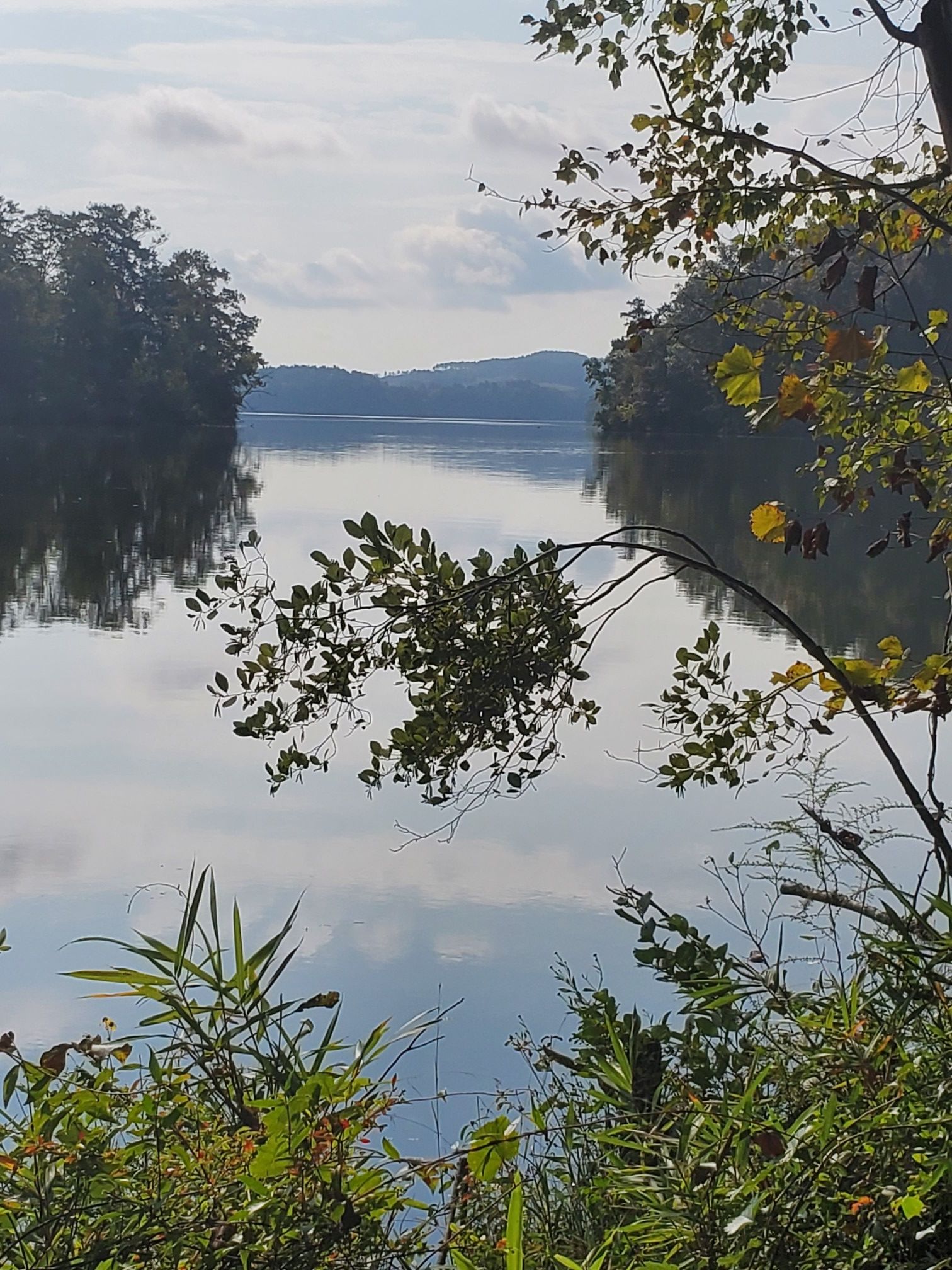 Wide lake reflecting cloudy sky, framed by lush green trees. - John B. Scott Forever Wild Trail