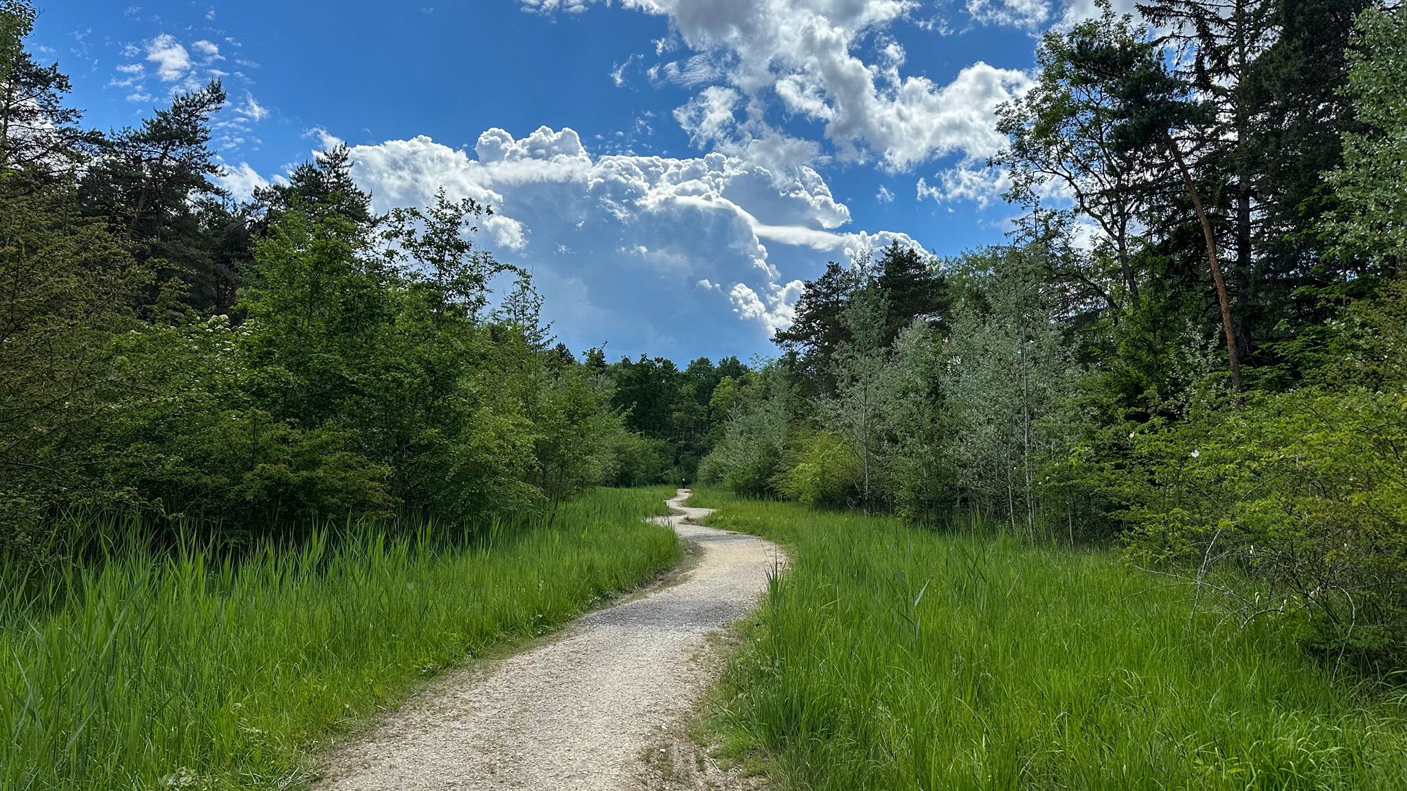 ...Blindschleichenweg🐍...