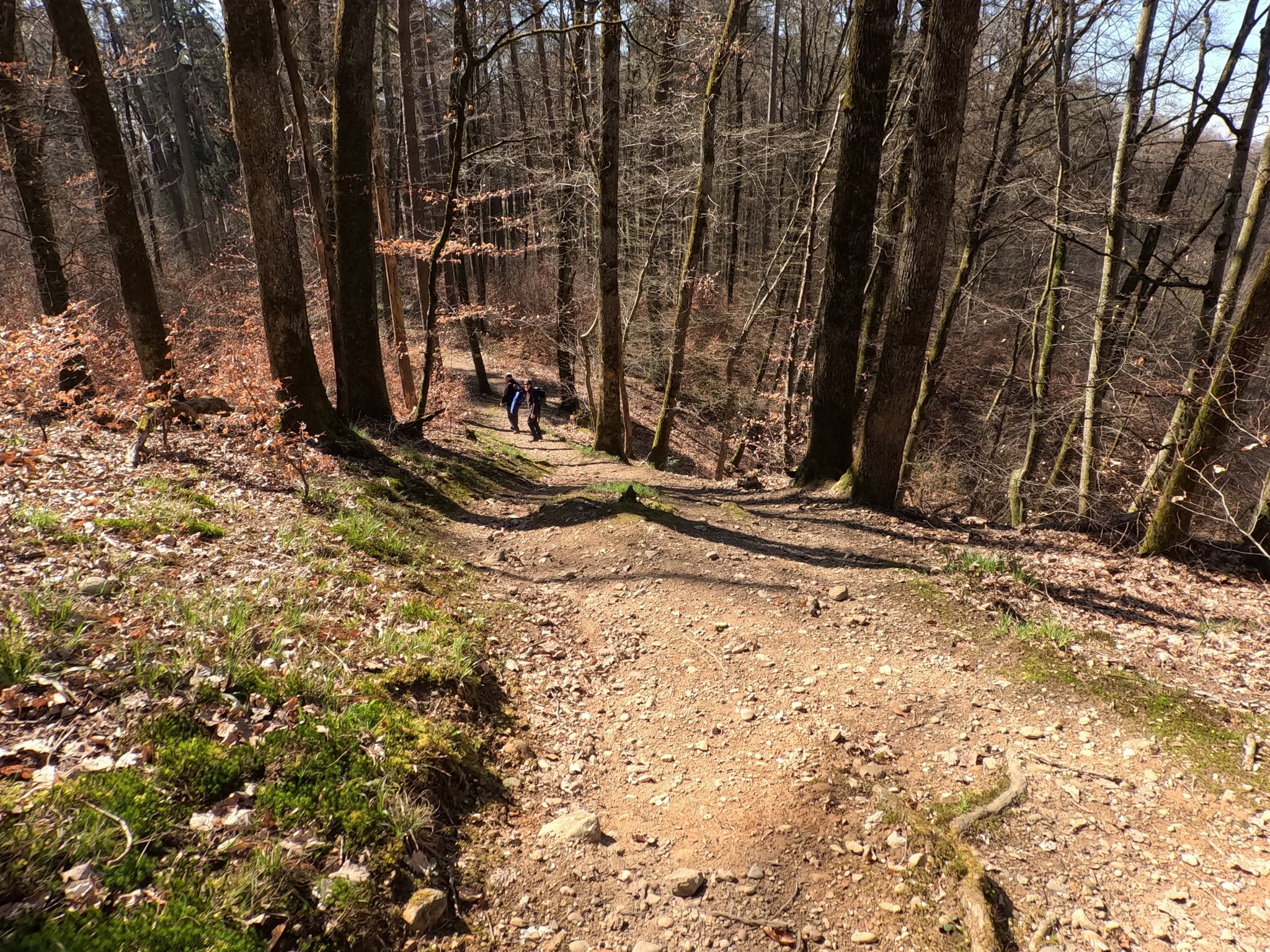 Trail runter vom Paradiesgärtli