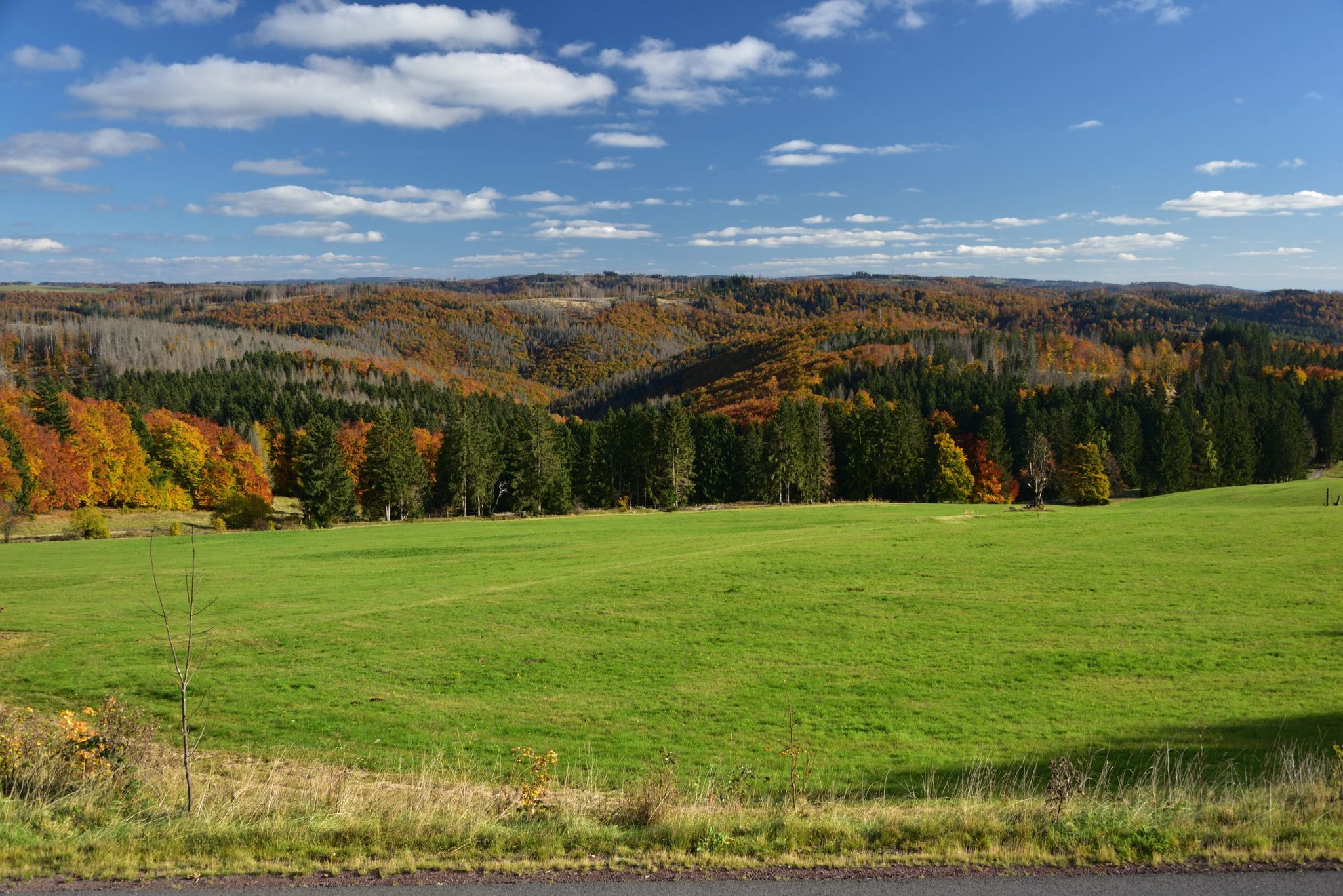 Bergwiese beim Stutenhaus