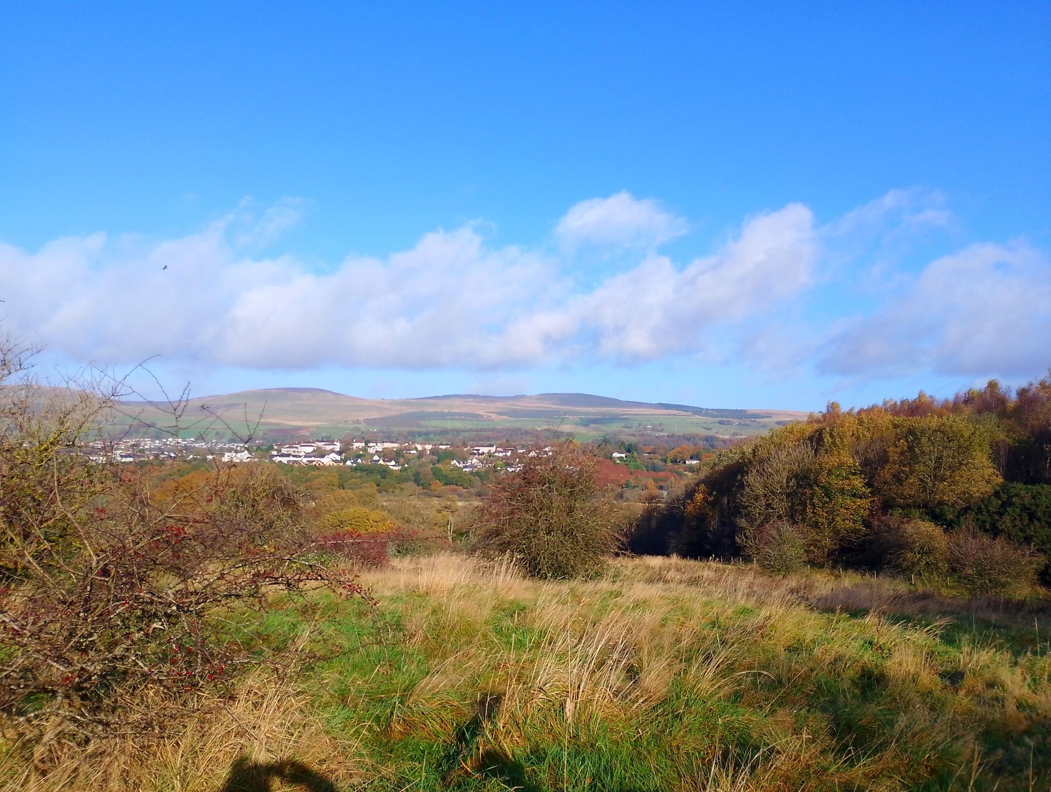 View of Kilsyth from Croy Hill.
