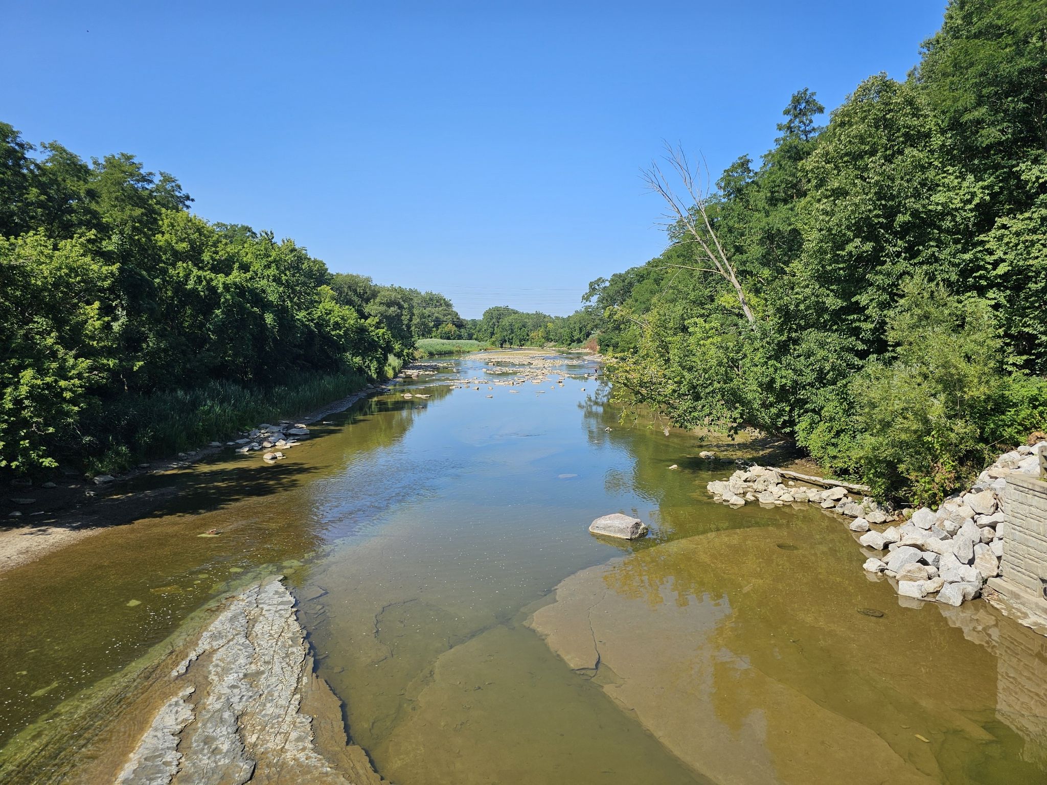 Sunny river scene with green trees lining both banks and exposed riverbed. - Chagrin River Park Trail