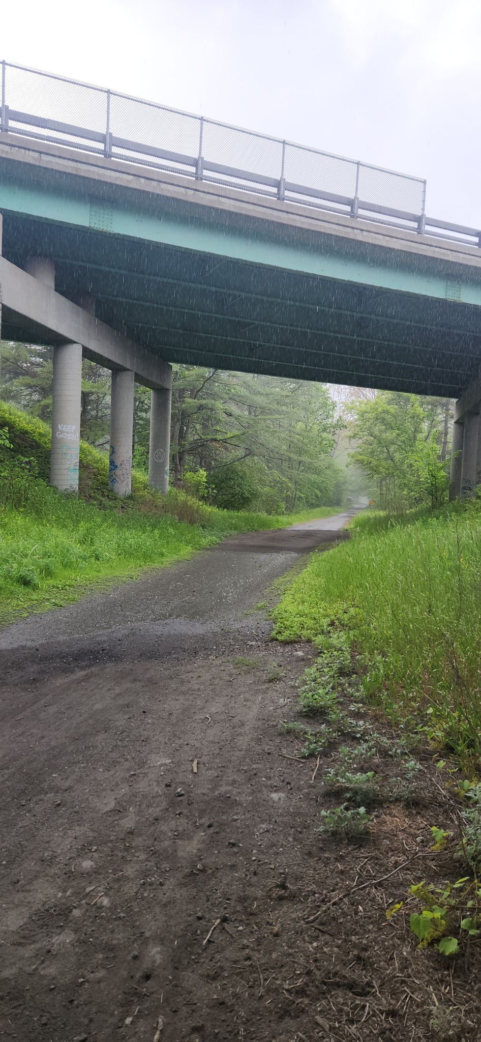 Dirt path passing under a large concrete highway bridge with green foliage. - Mill Parcel loop from Baker's Crossing Conservation Area