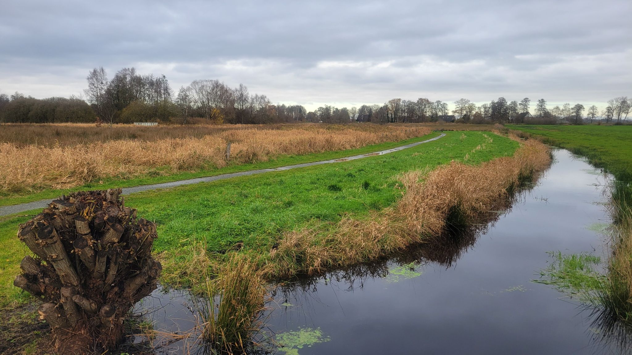 Altenfluther Moor