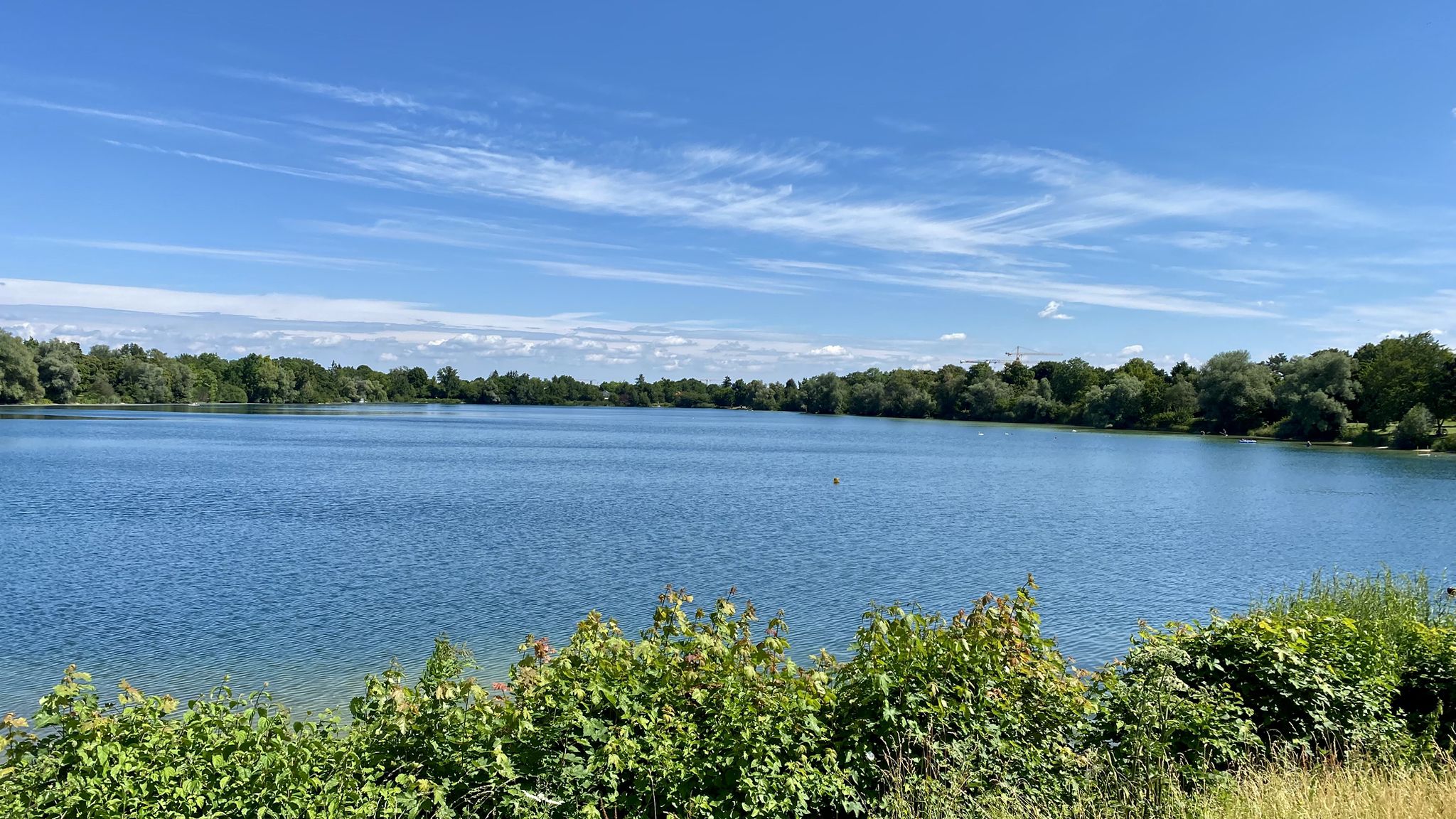 Blick auf den Fasaneriesee