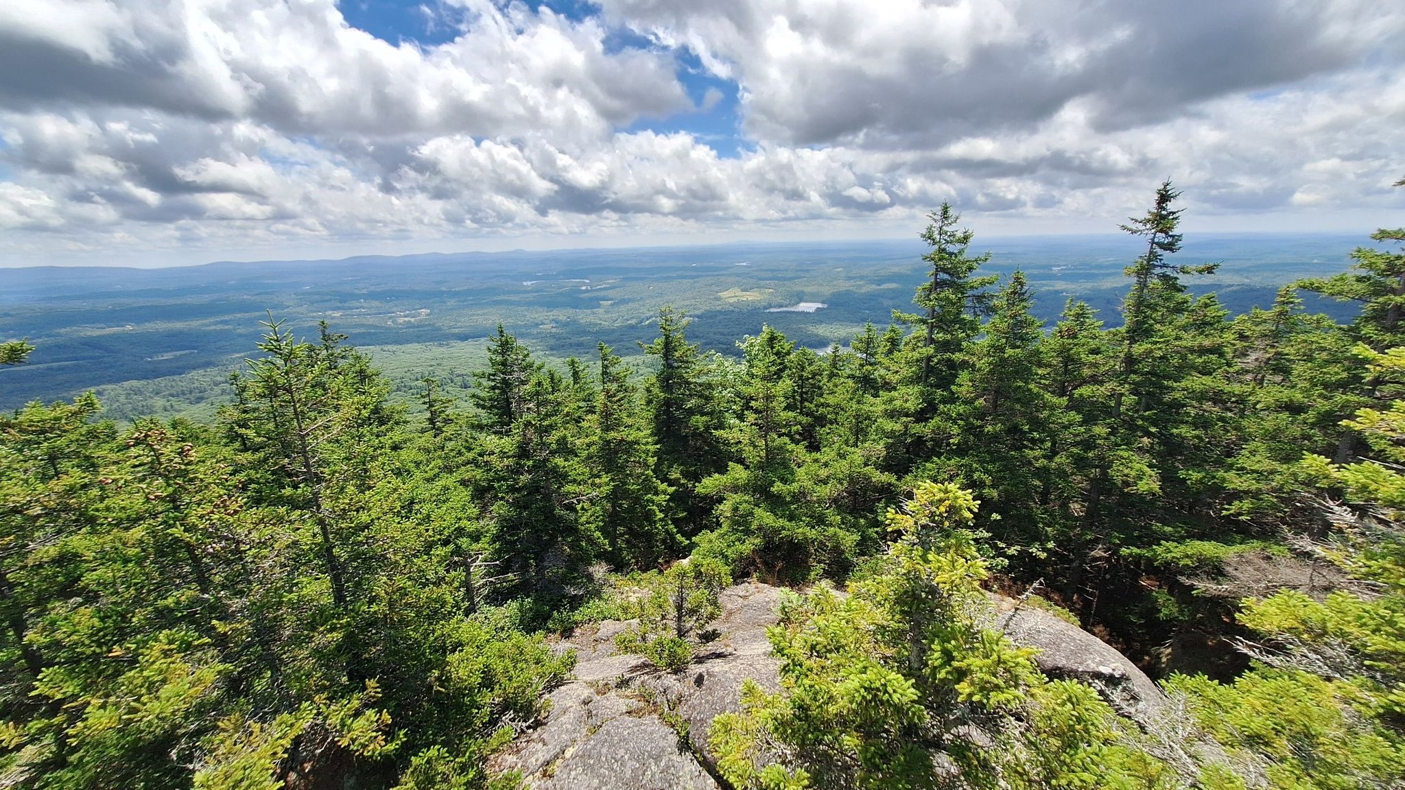 Panoramic view from a rocky summit, dense green forest under cloudy sky. - Mount Monadnock via White Dot and Lost Farm Trail Loop