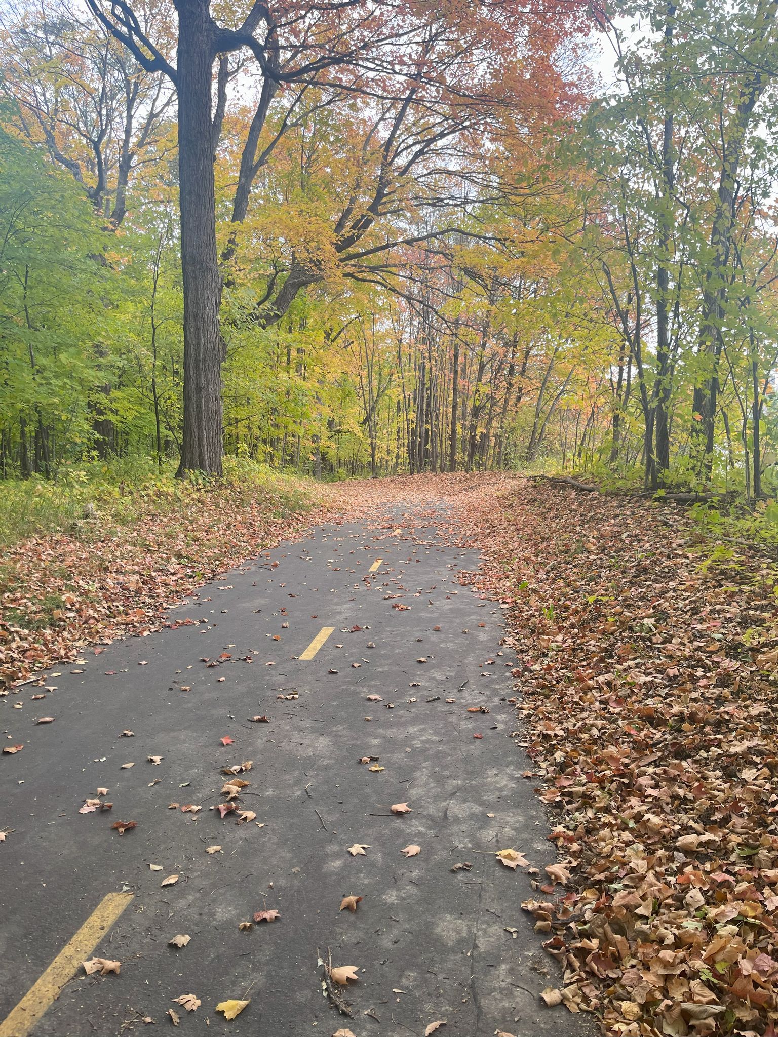 First real signs of Autumn...finally!