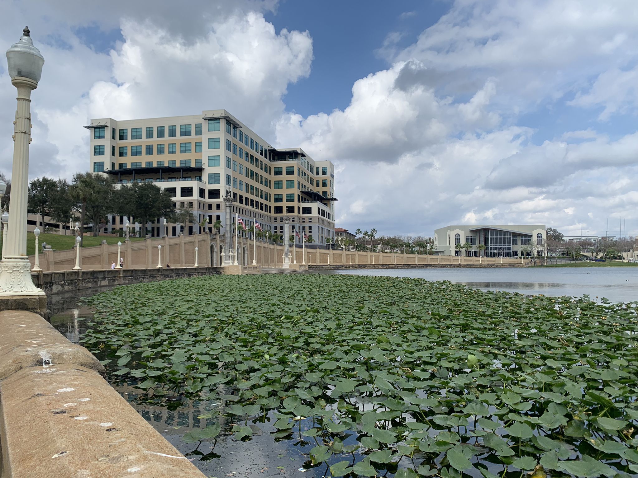 Bright urban lake with dense lily pads, buildings, and lamppost under a partly cloudy sky. - Lake Mirror Loop