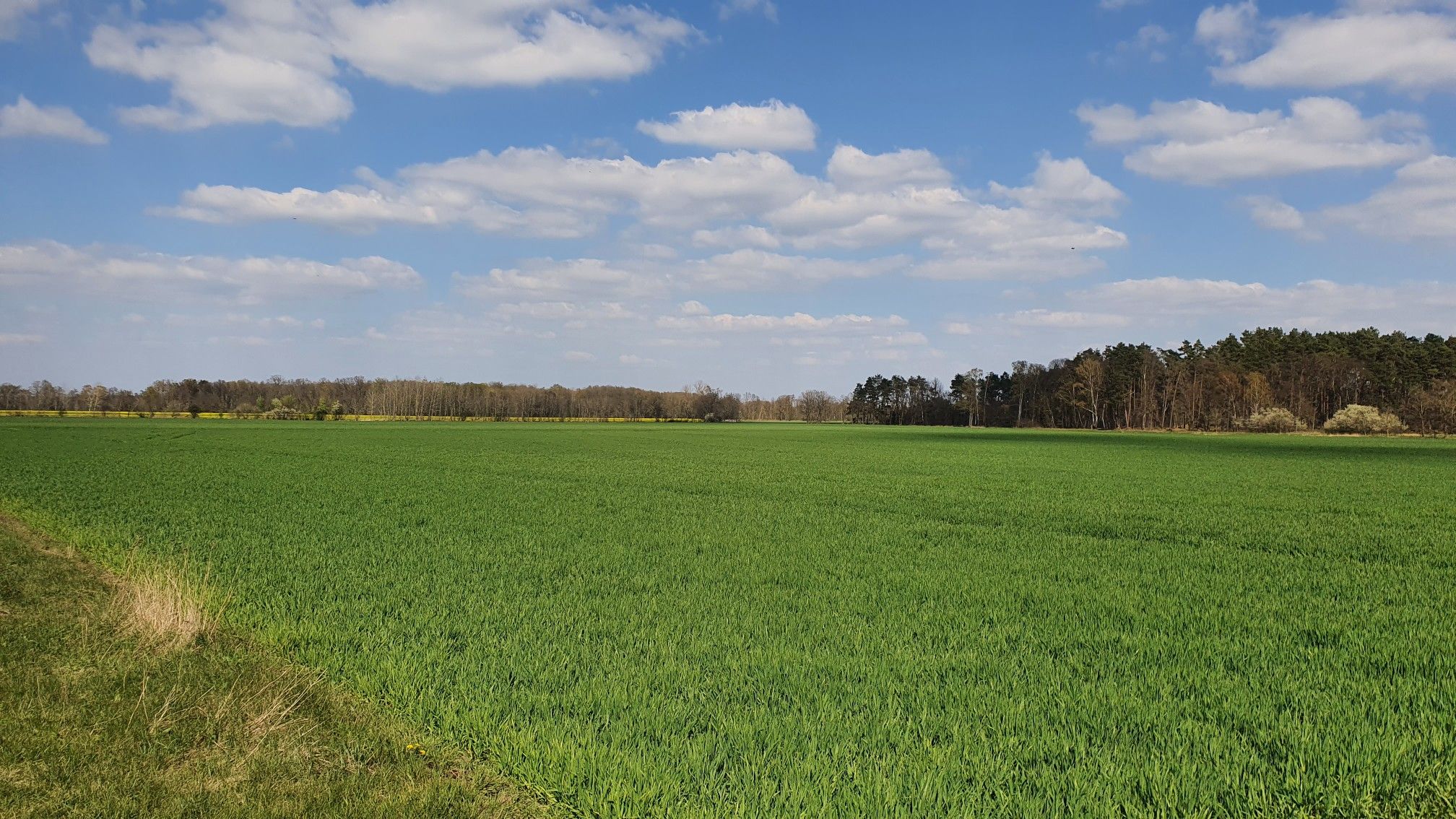 Hinter den Höfen