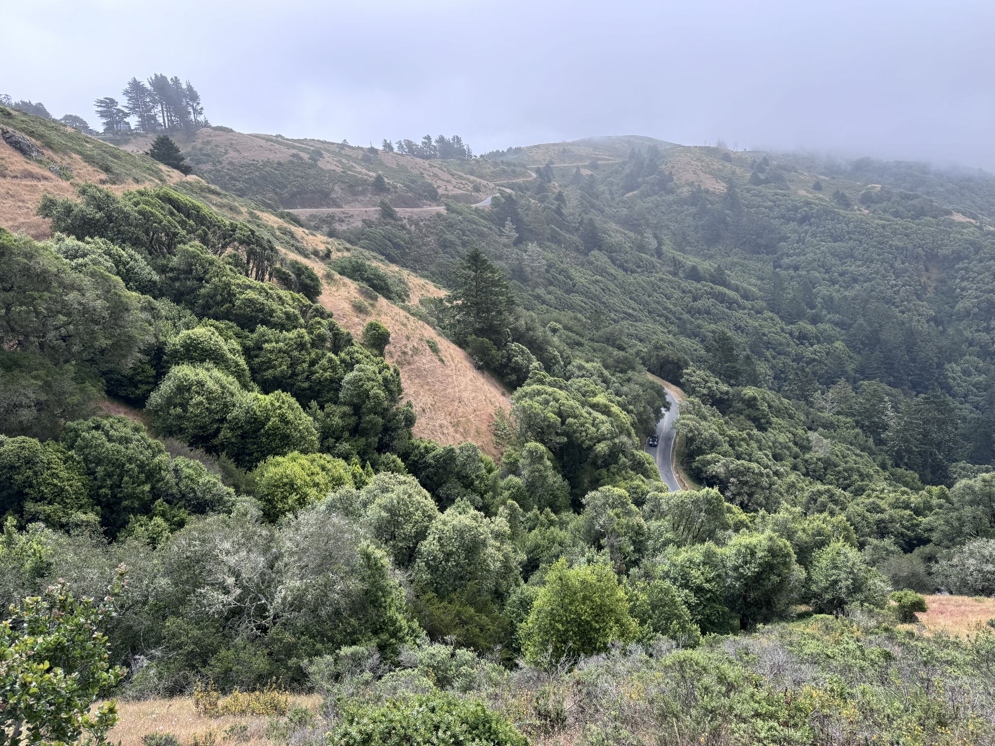 A winding road descends through green and dry hills under a cloudy sky. - Sun Trail