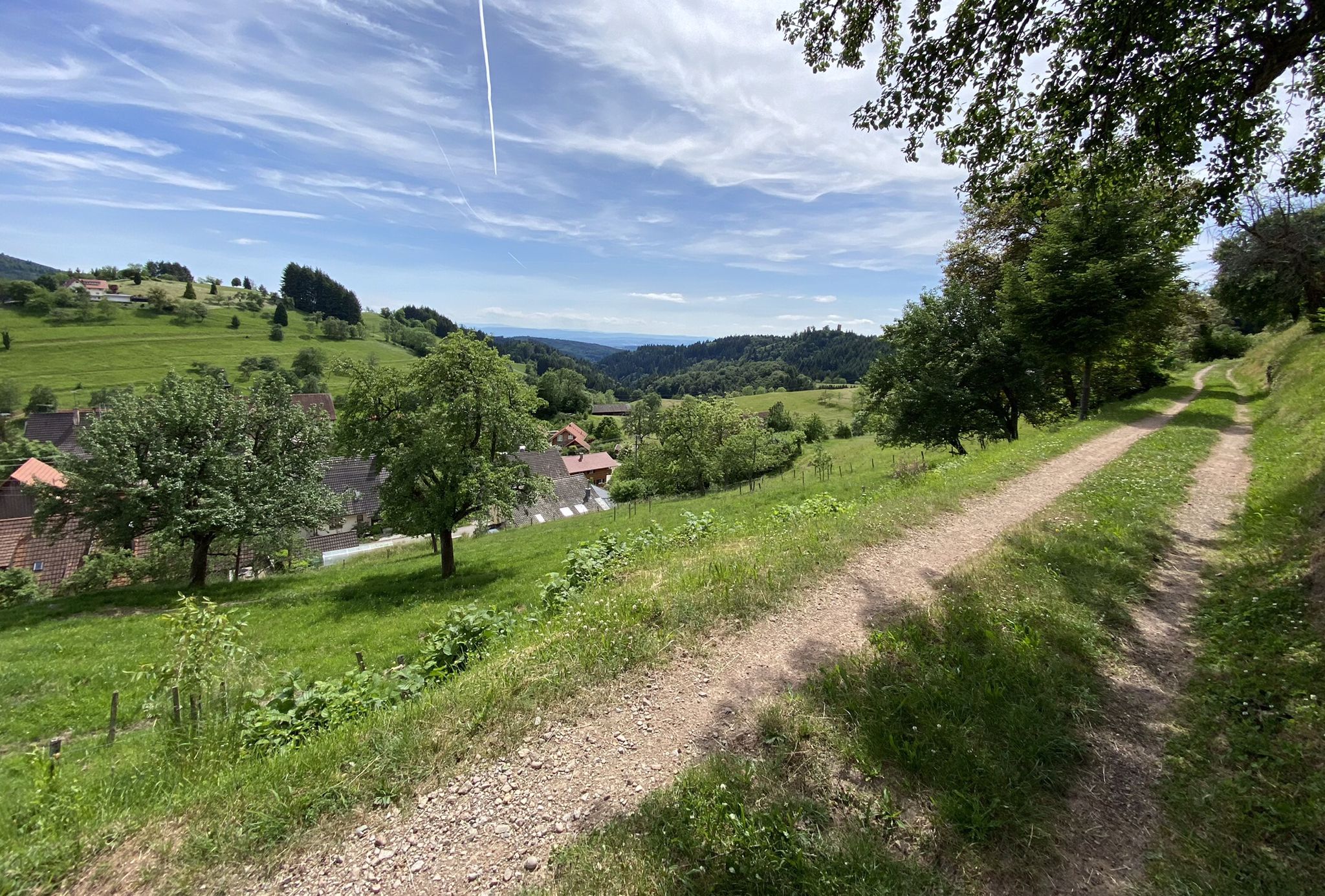 bei Vogelbach