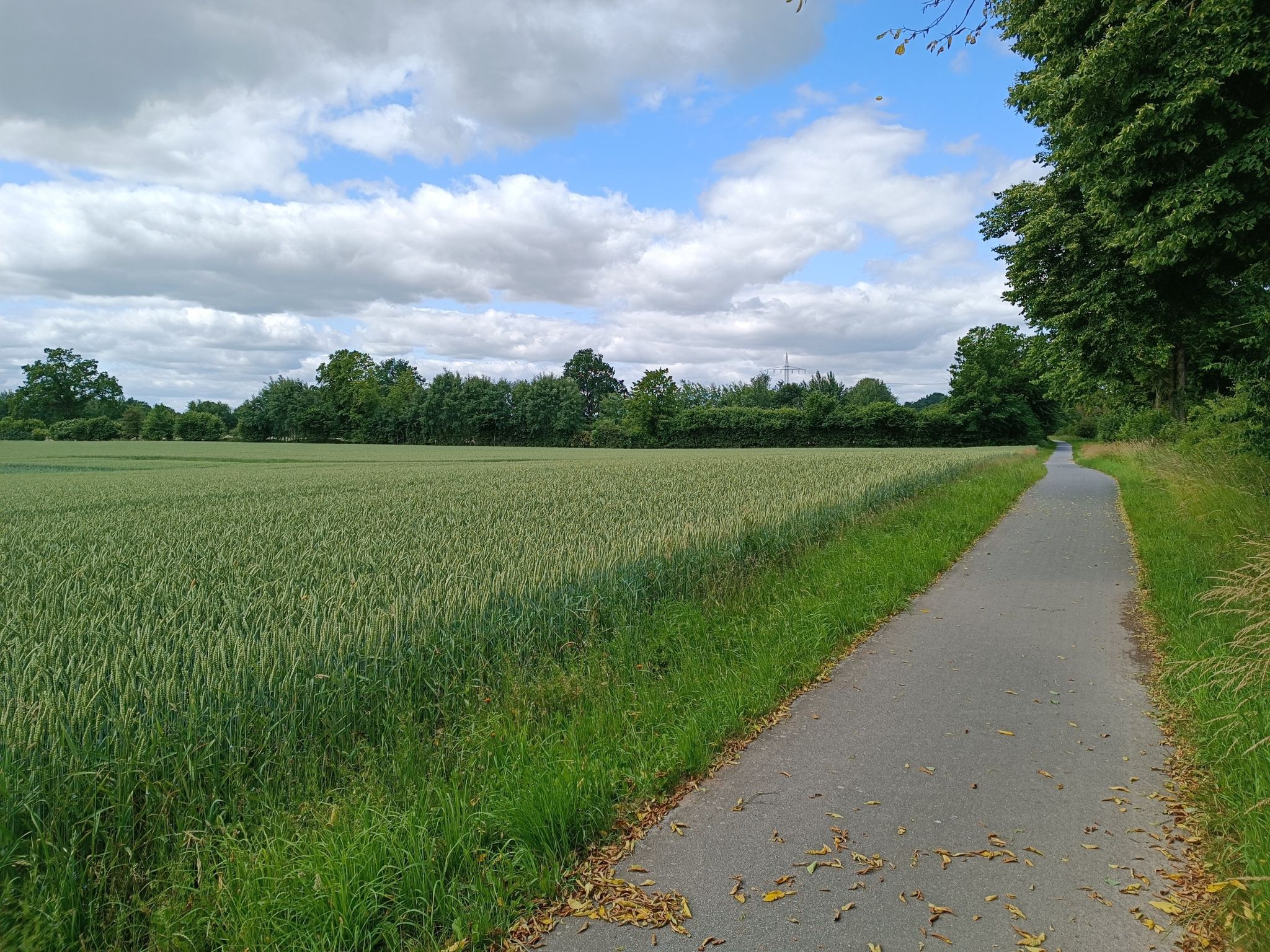 der Radweg ist auch okay
